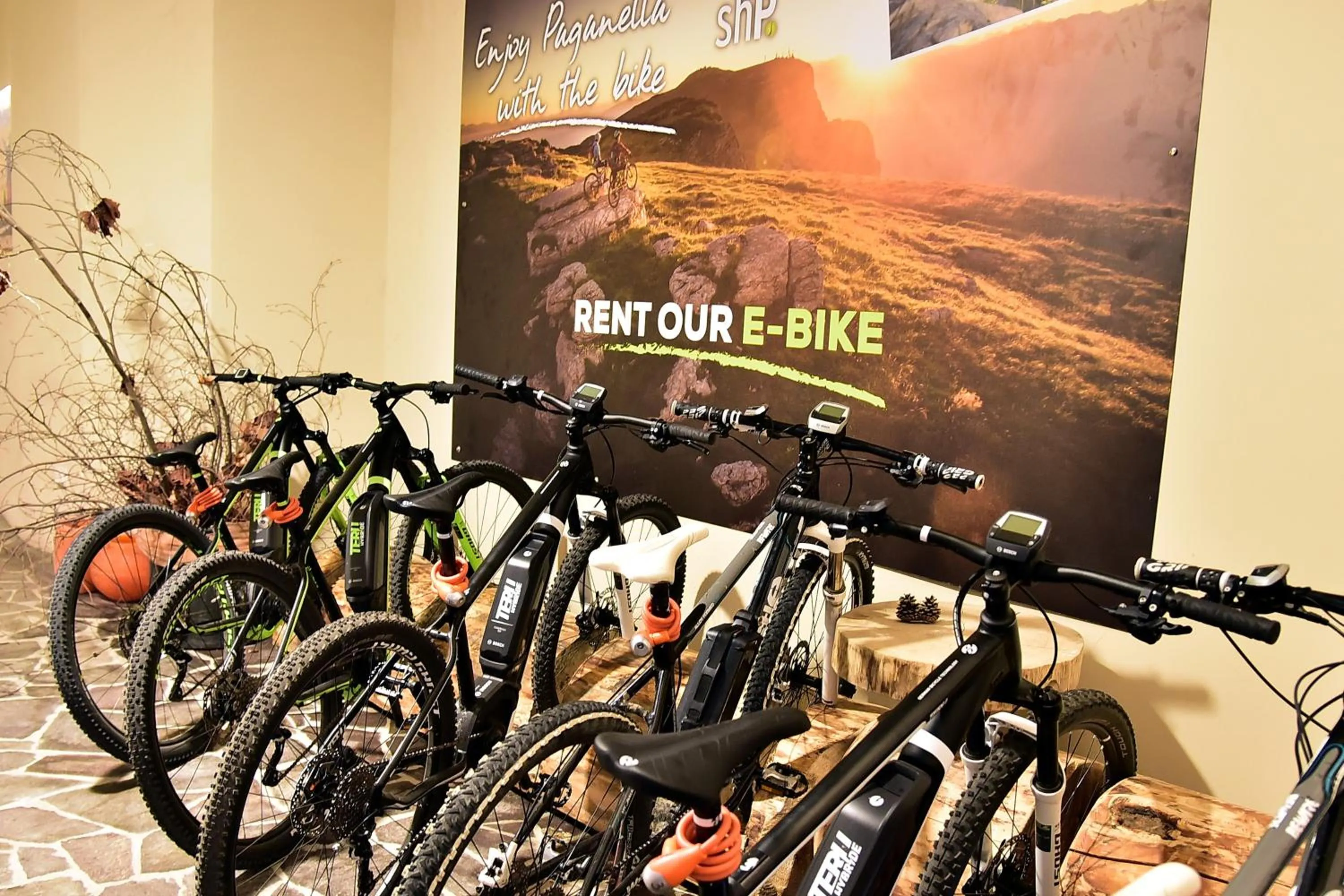 Cycling in Alp Wellness Sport Hotel Panorama