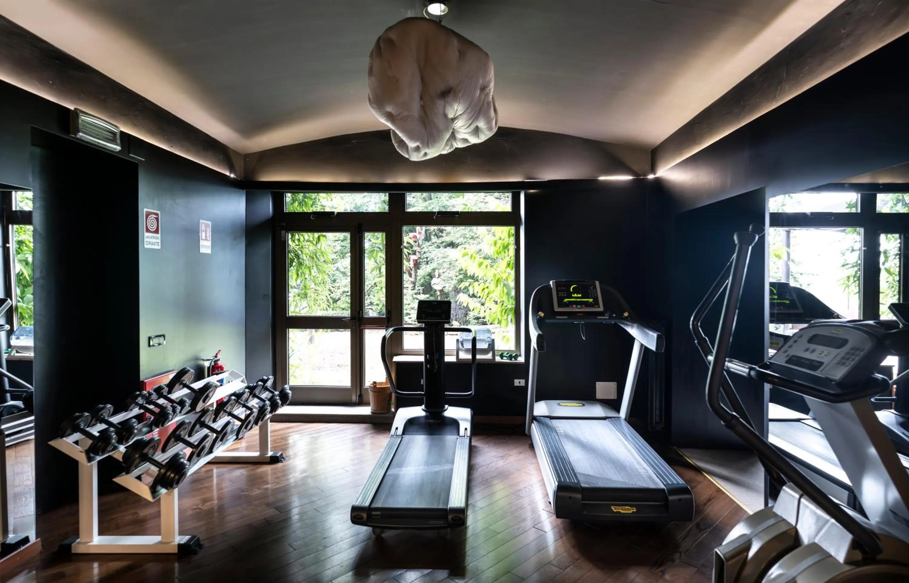 Fitness centre/facilities in Alp & Wellness Sport Hotel Panorama