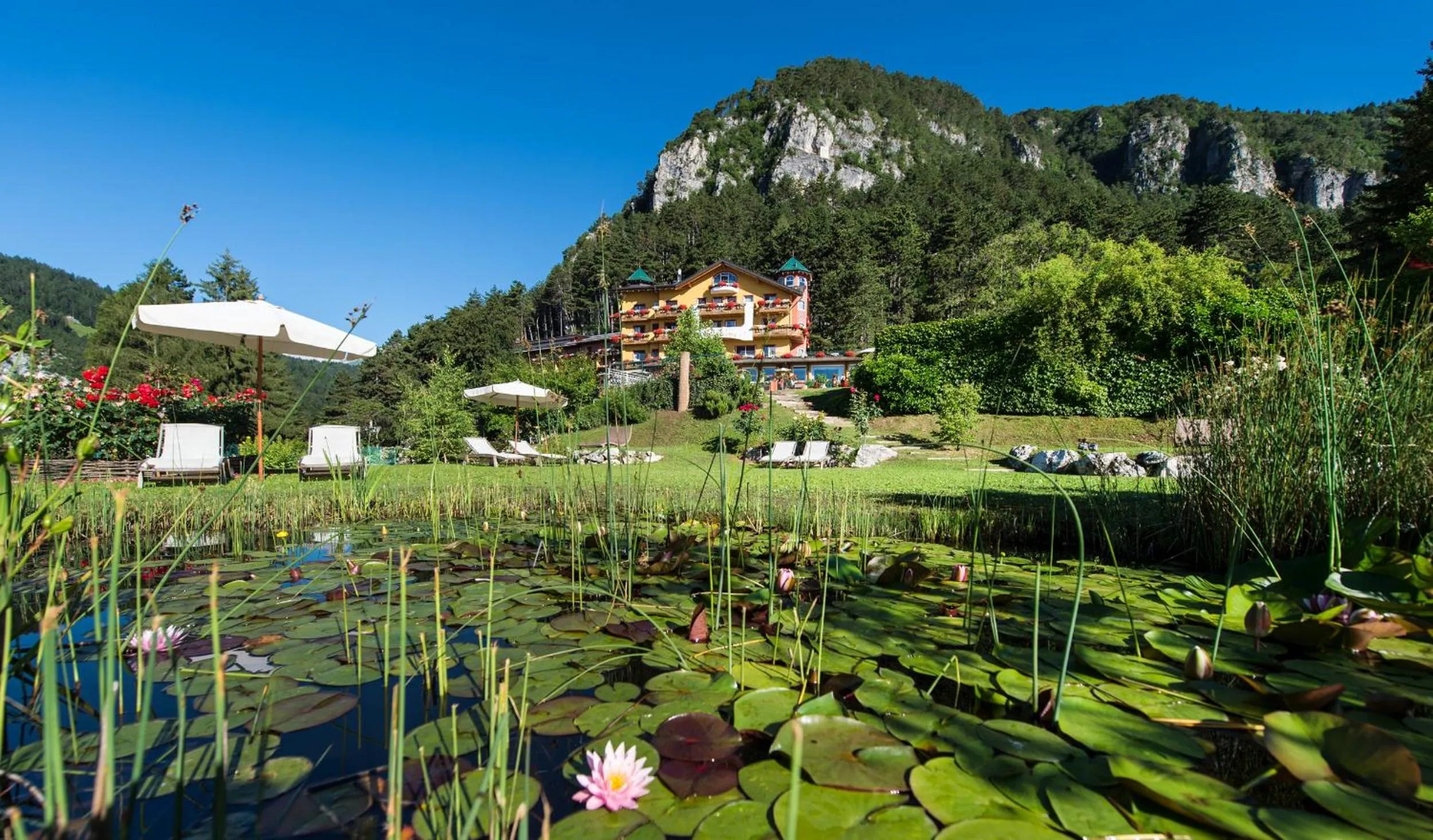 Garden in Alp Wellness Sport Hotel Panorama