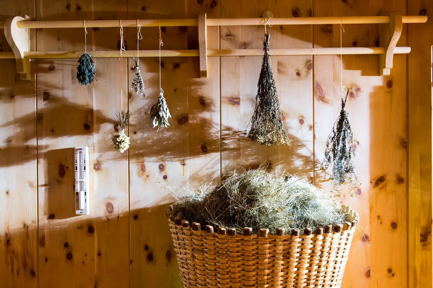 Sauna in Alp Wellness Sport Hotel Panorama