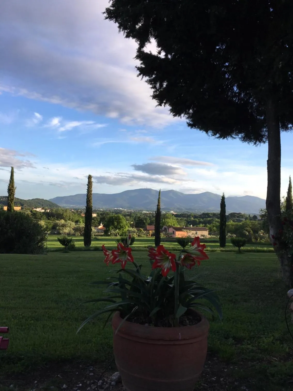 Garden in Relais Del Lago