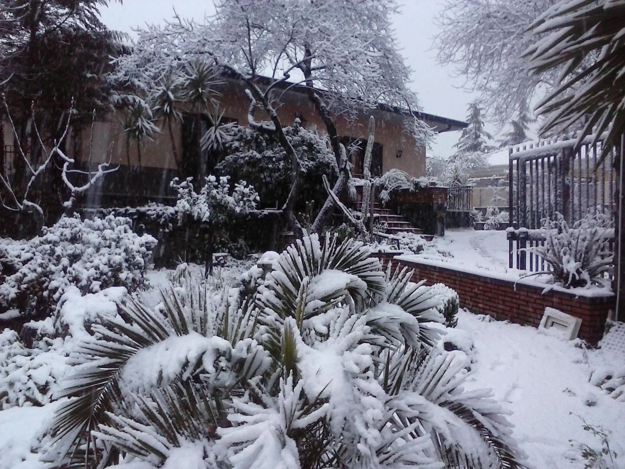 Facade/entrance in Sotto Il Vulcano