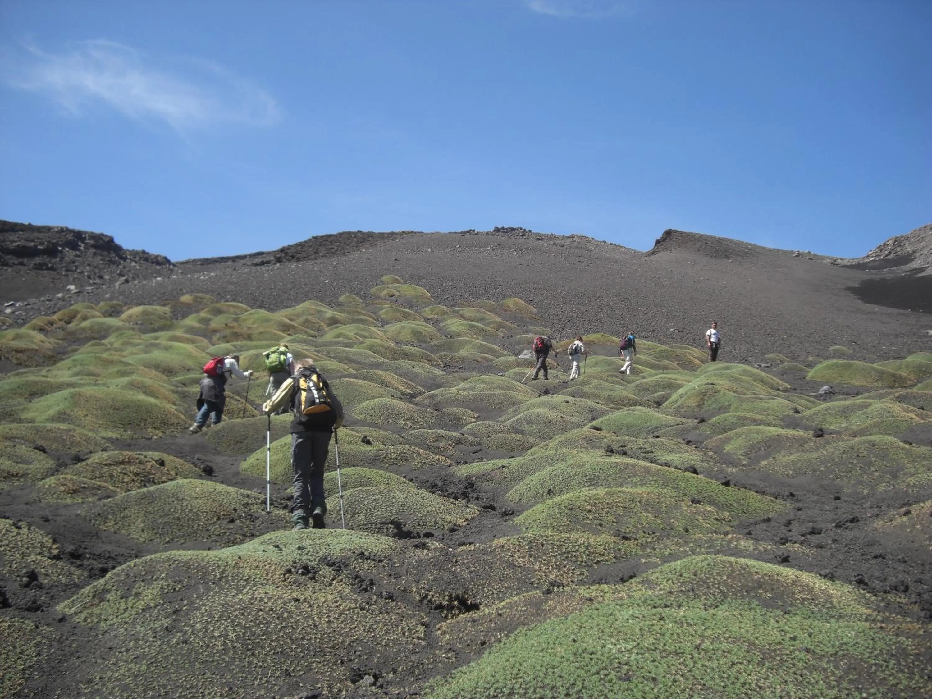 Horse-riding in Sotto Il Vulcano