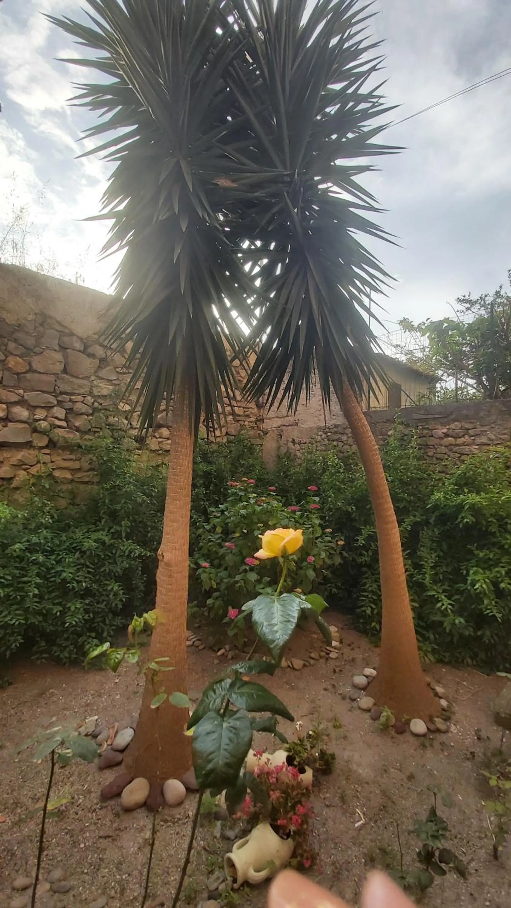 Garden in Residence Alberghiero Eolie