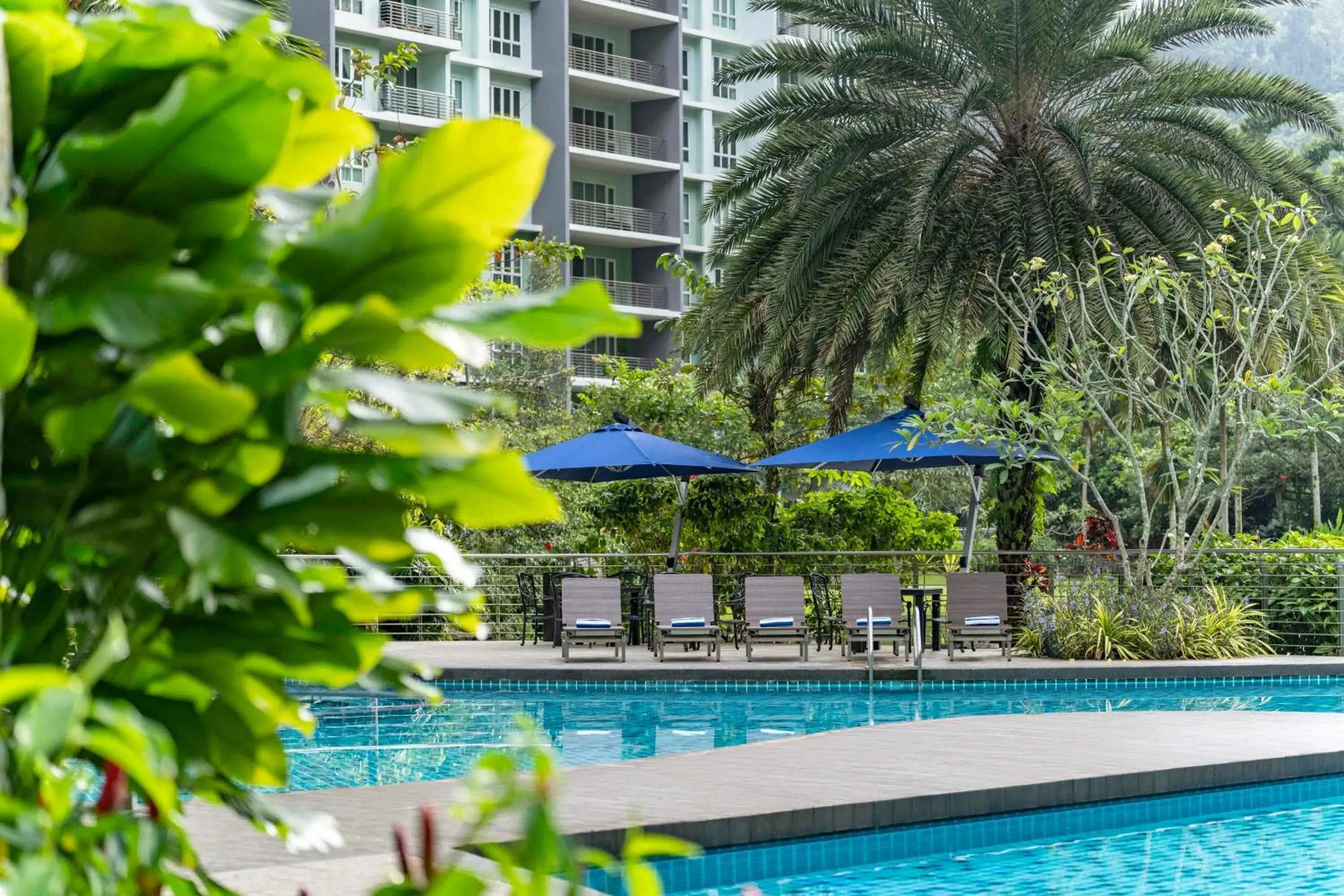 Pool view in TUI BLUE The Haven Ipoh Pool view in TUI BLUE The Haven Ipoh