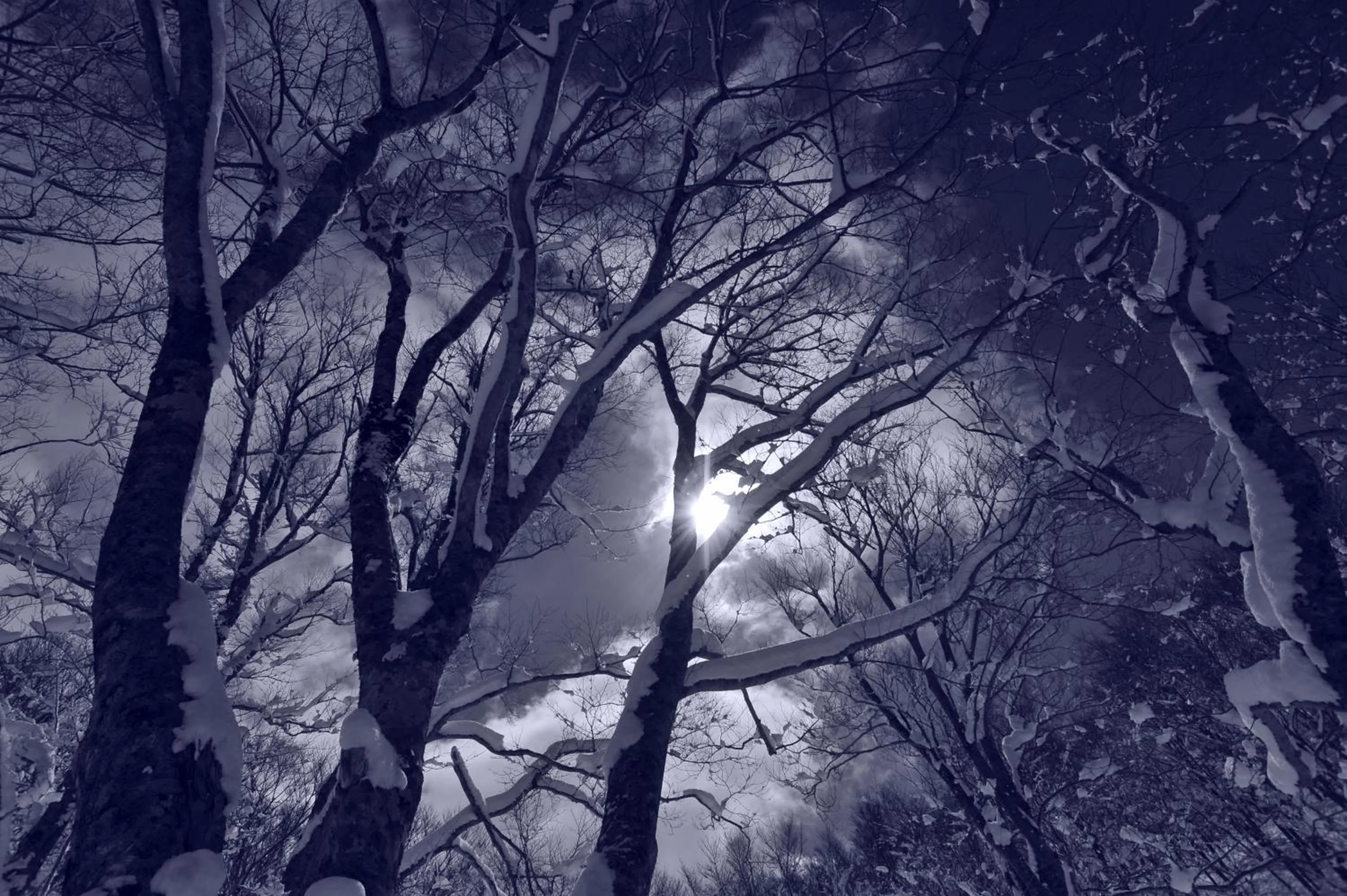 Night in Hotel Jogakura