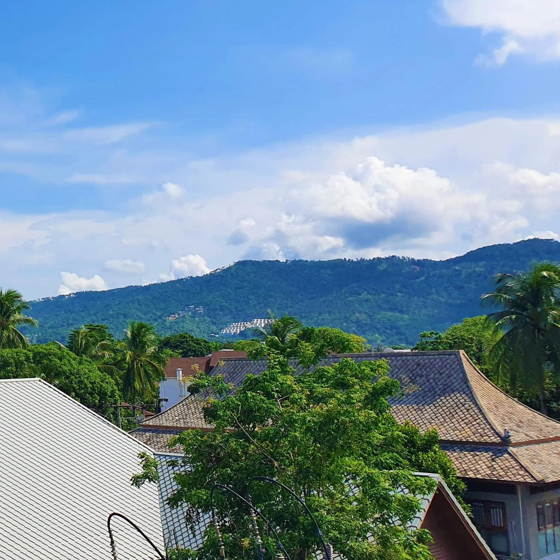 View (from property/room) in Lenny's Koh Samui