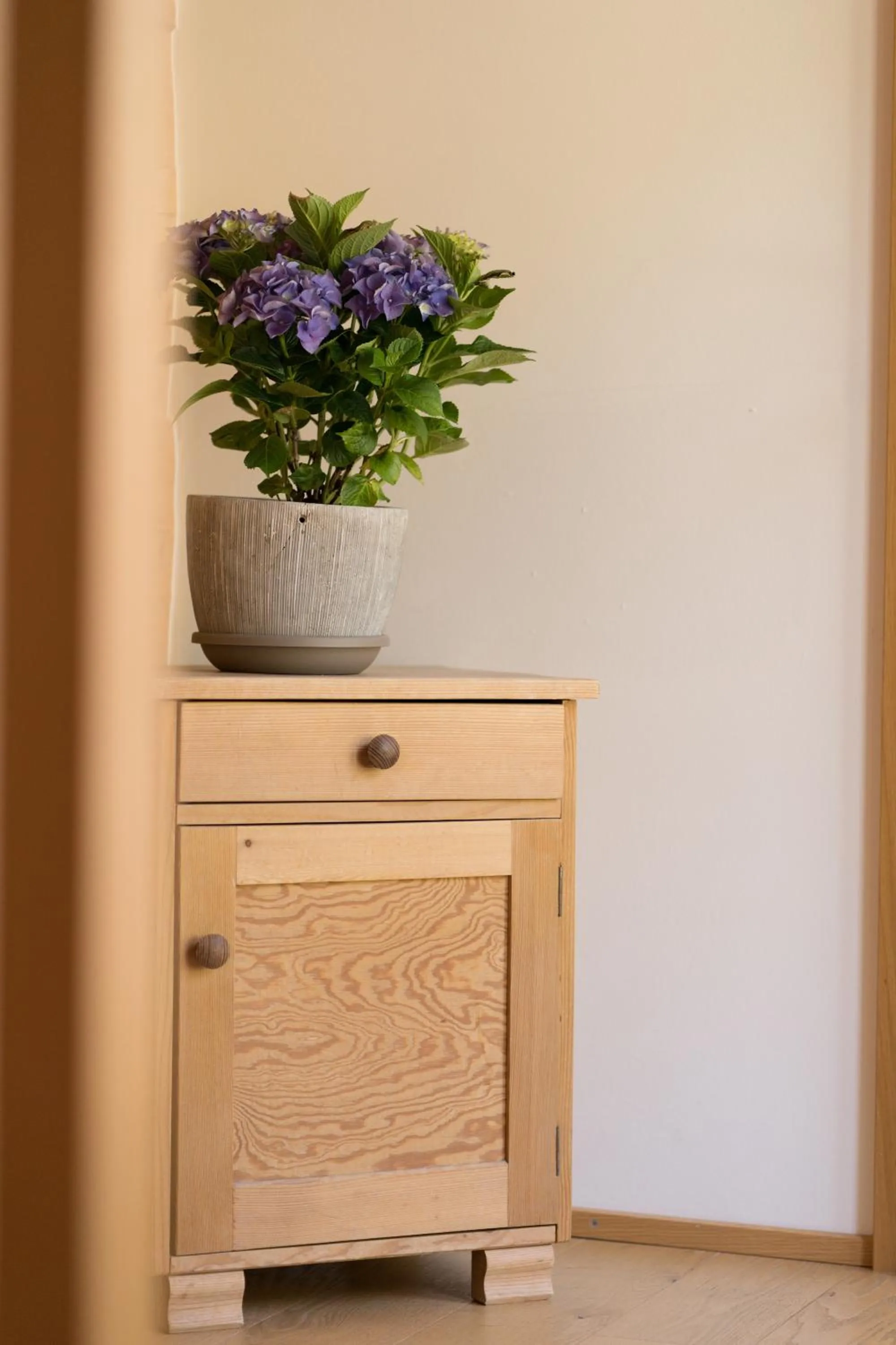 Decorative detail in HUS24