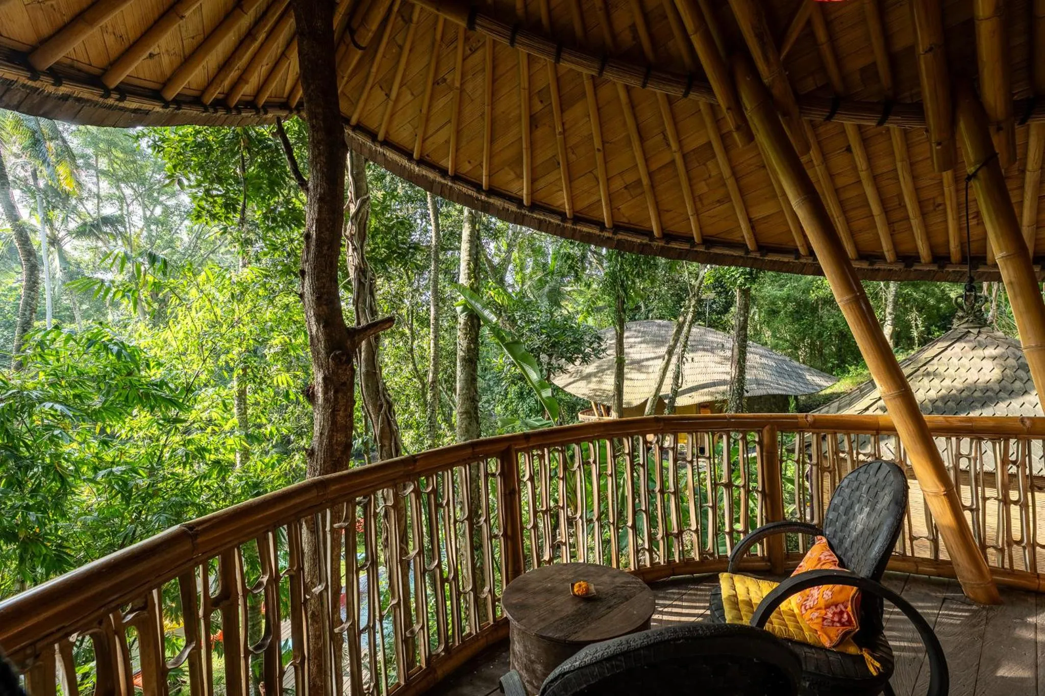 Natural landscape in Bamboo Turtles Ecolodge