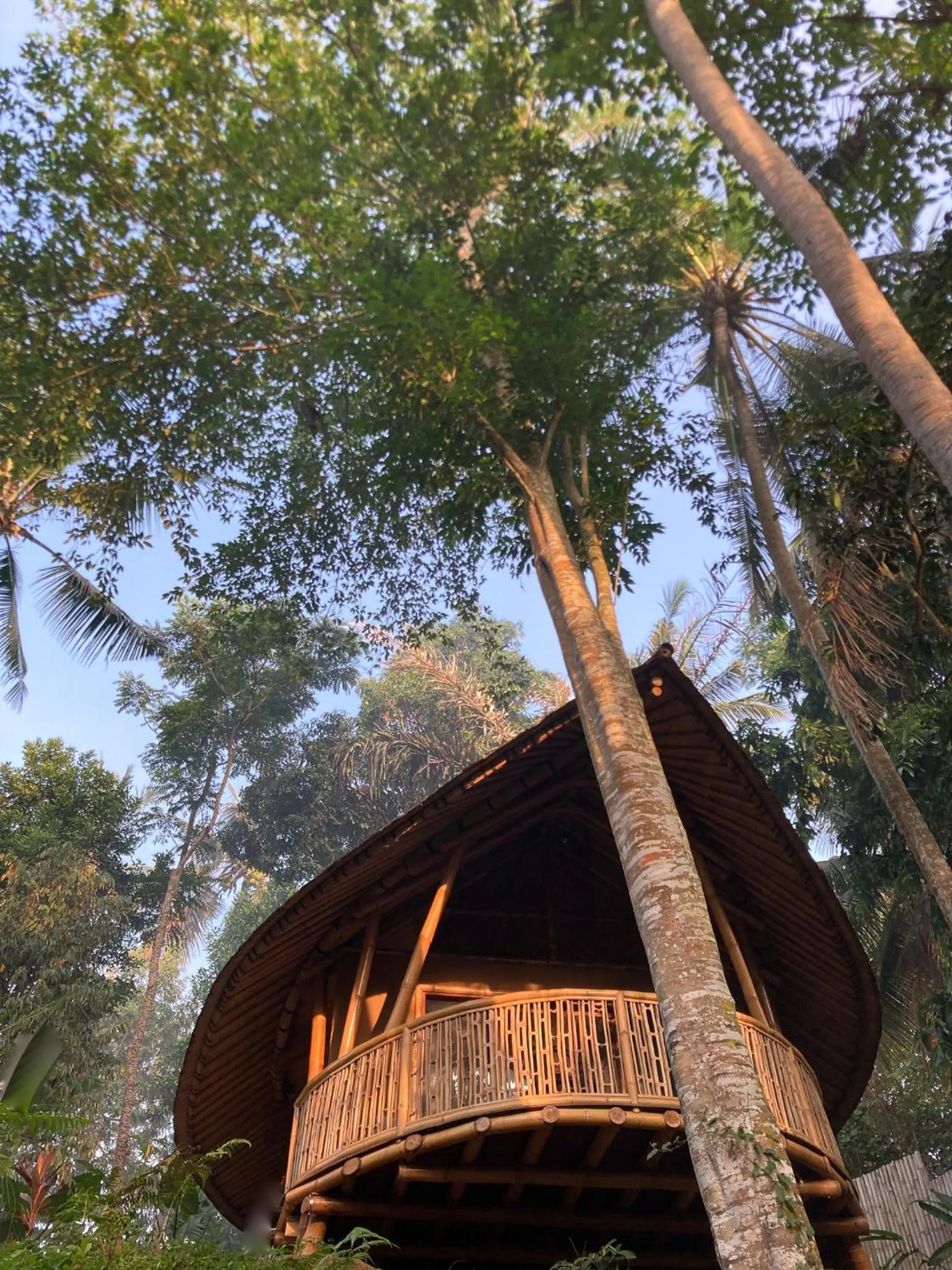 Natural landscape in Bamboo Turtles Ecolodge