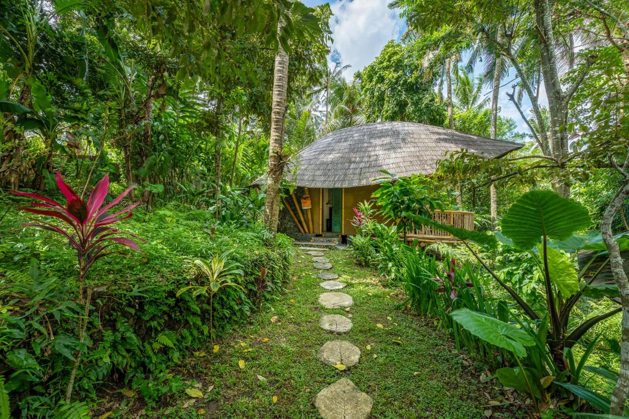Natural landscape in Bamboo Turtles Ecolodge