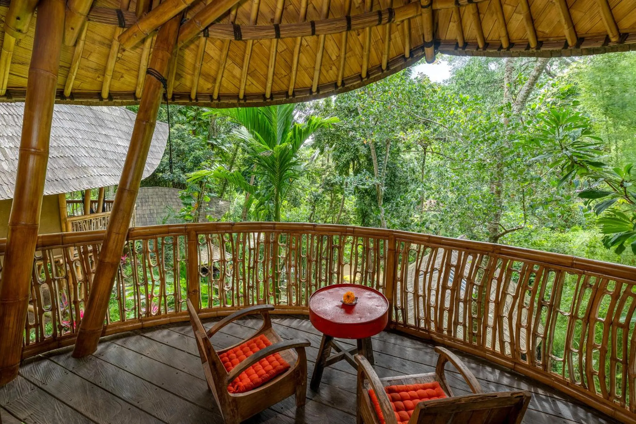 View (from property/room) in Bamboo Turtles Ecolodge