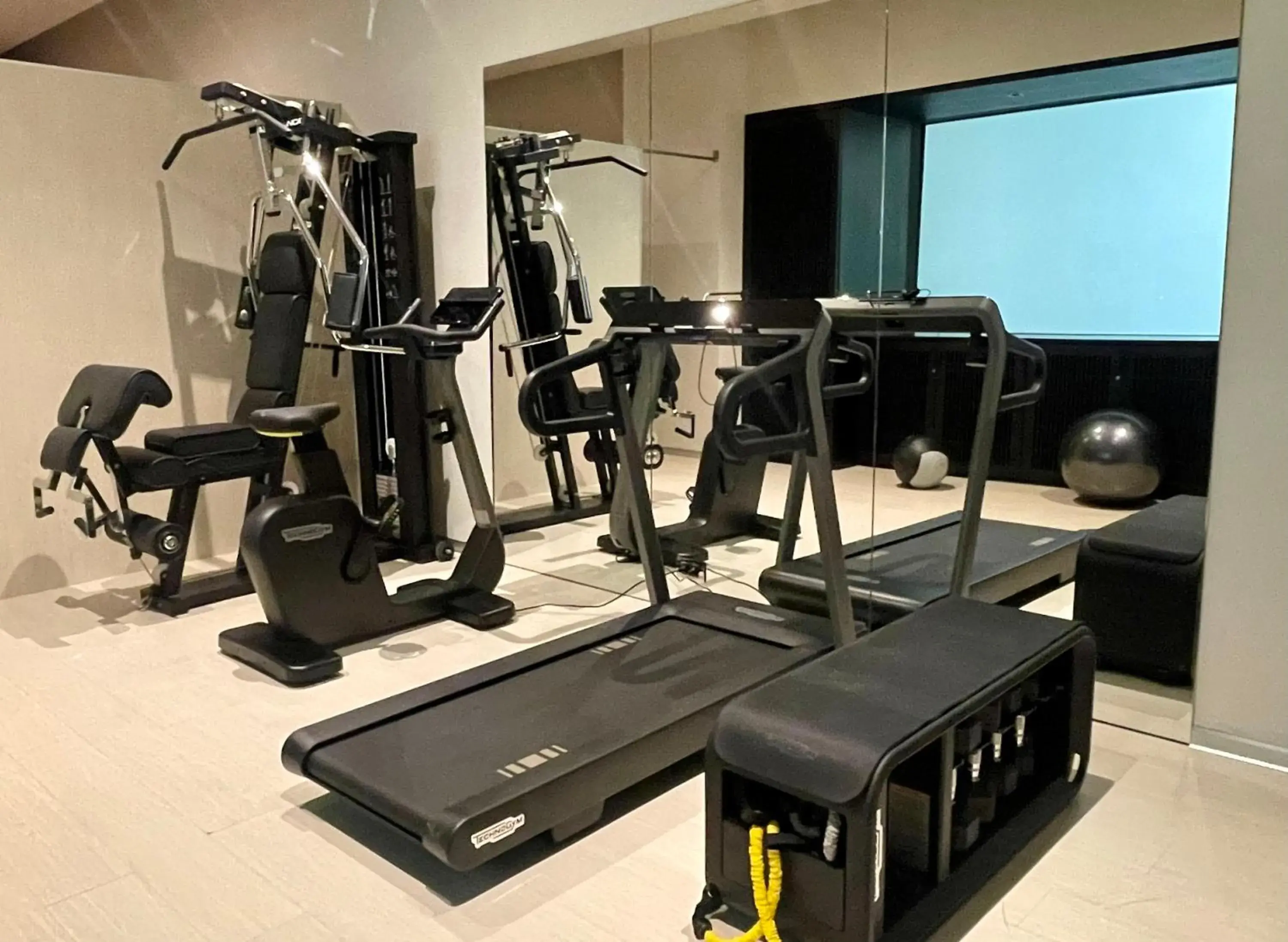 Fitness centre/facilities, Fitness Center/Facilities in Hotel Carducci 76