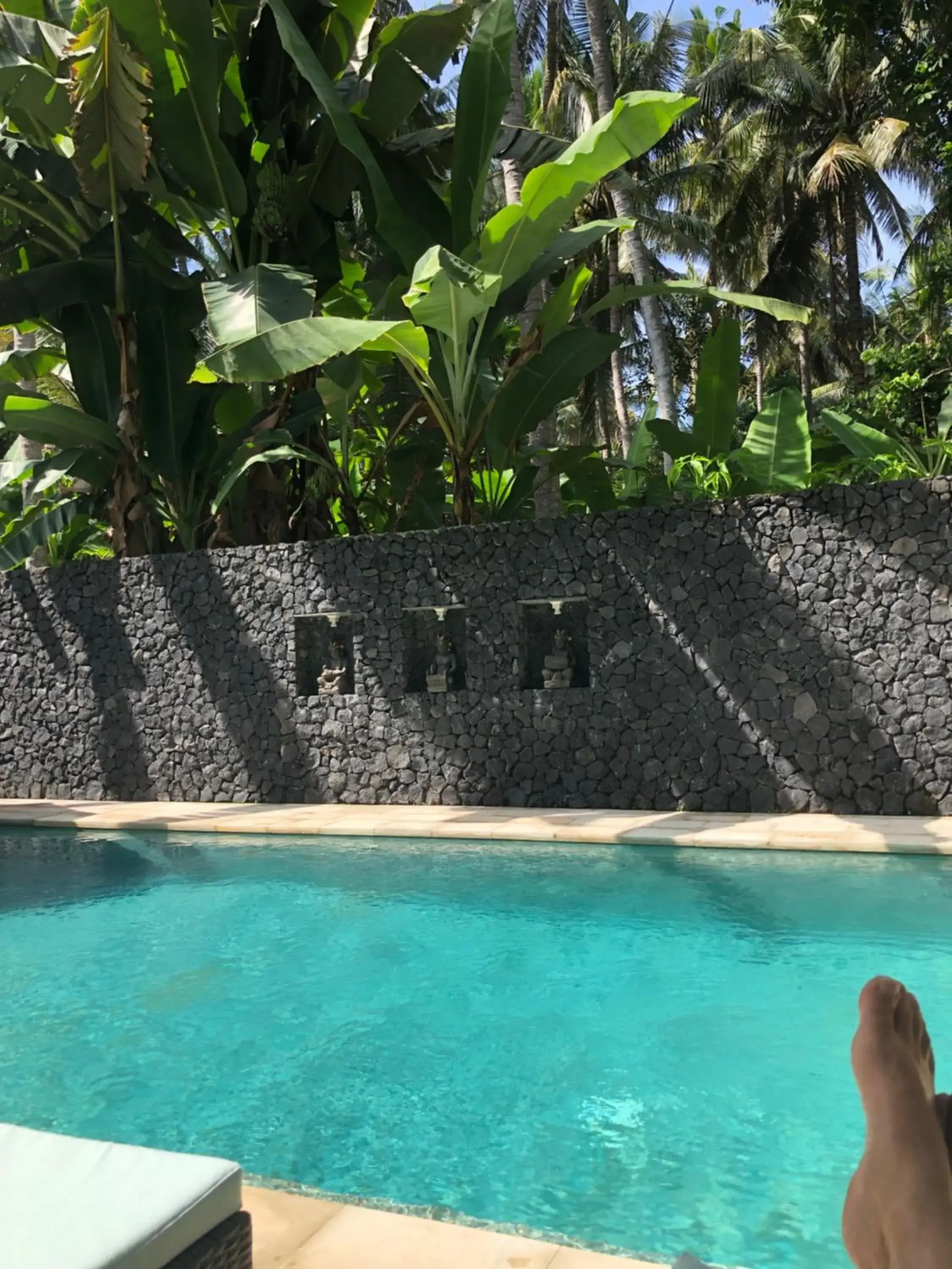 Rumah Kelapa Sepi Rumah Kelapa Sepi