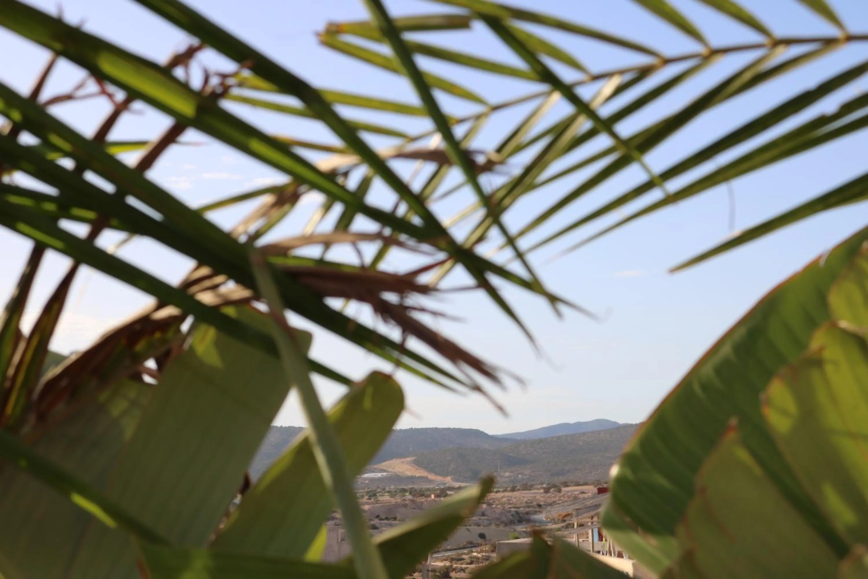 View (from property/room) in Azrac Surf Morocco