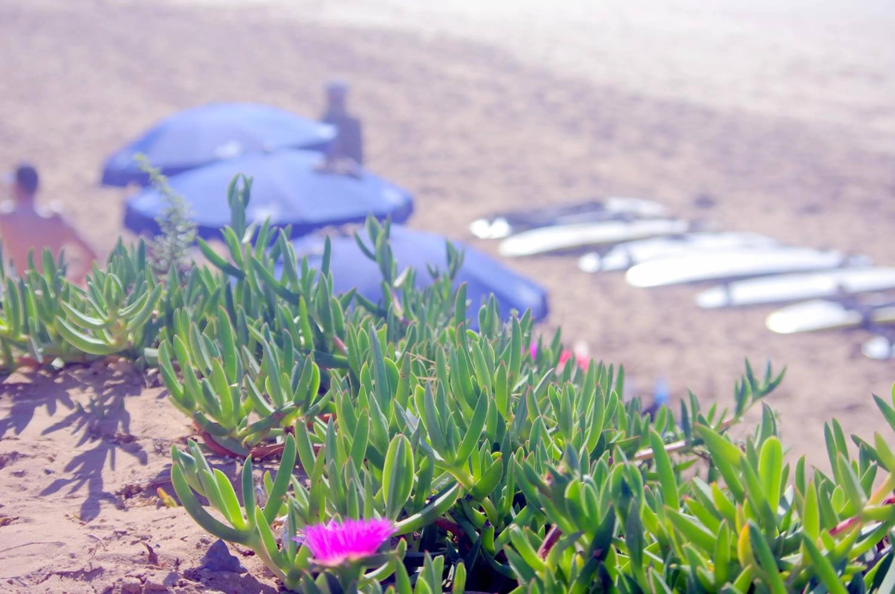 Azrac Surf Morocco