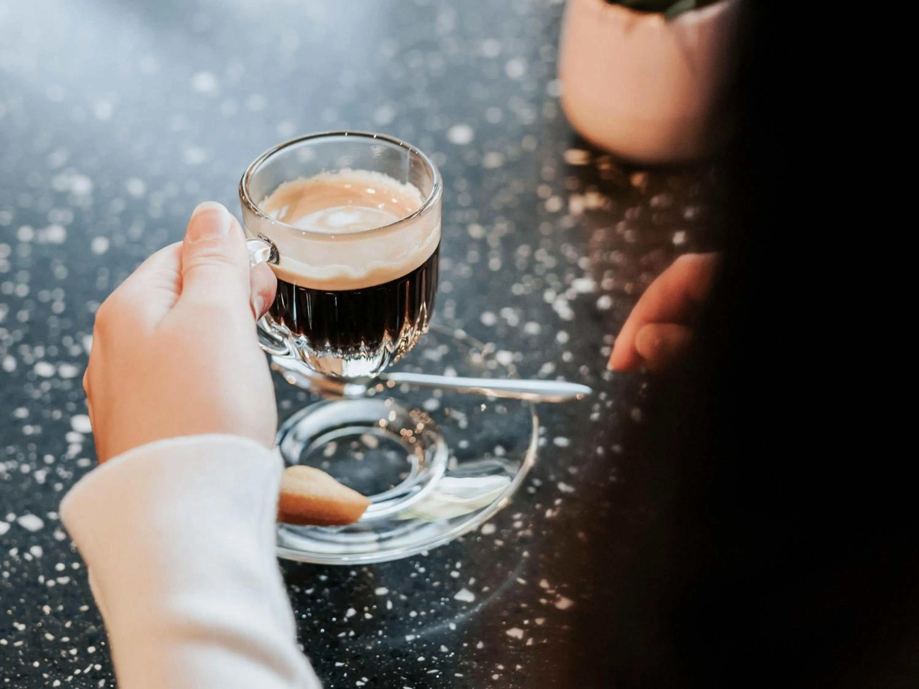 Lounge or bar in Mercure Brest Centre Port