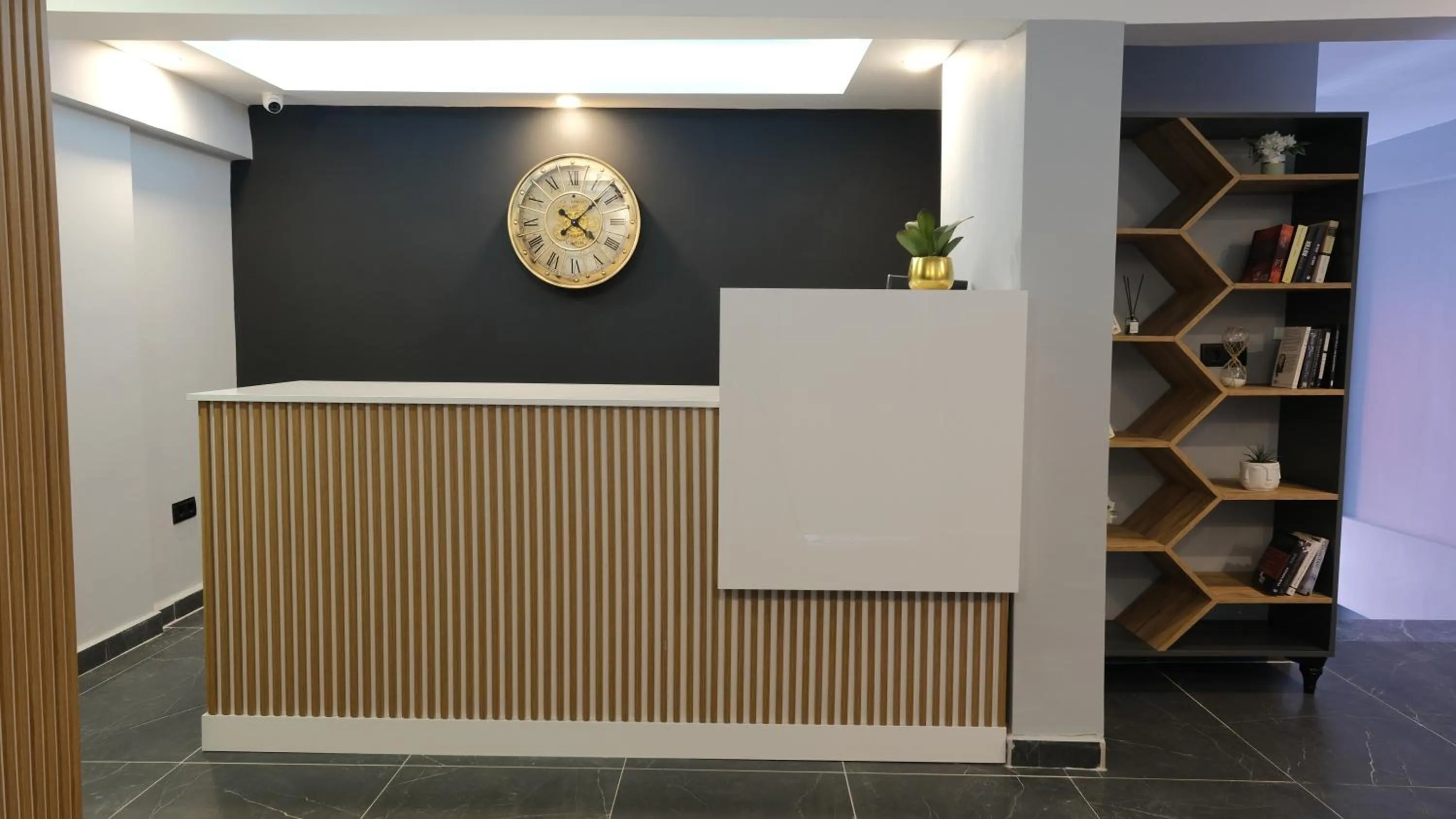 Lobby or reception in Likya 202