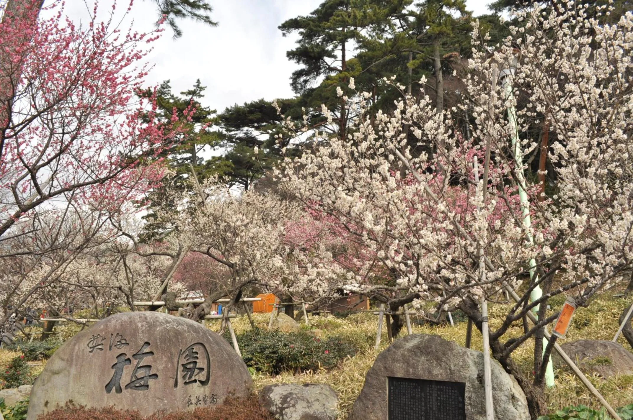Nearby landmark in Hotel Micuras