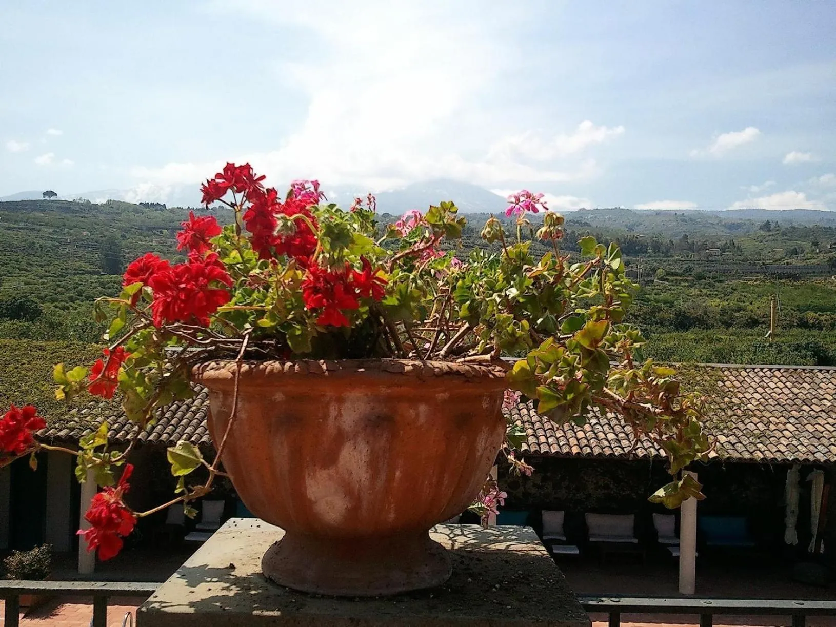 View (from property/room) in Etna Hotel