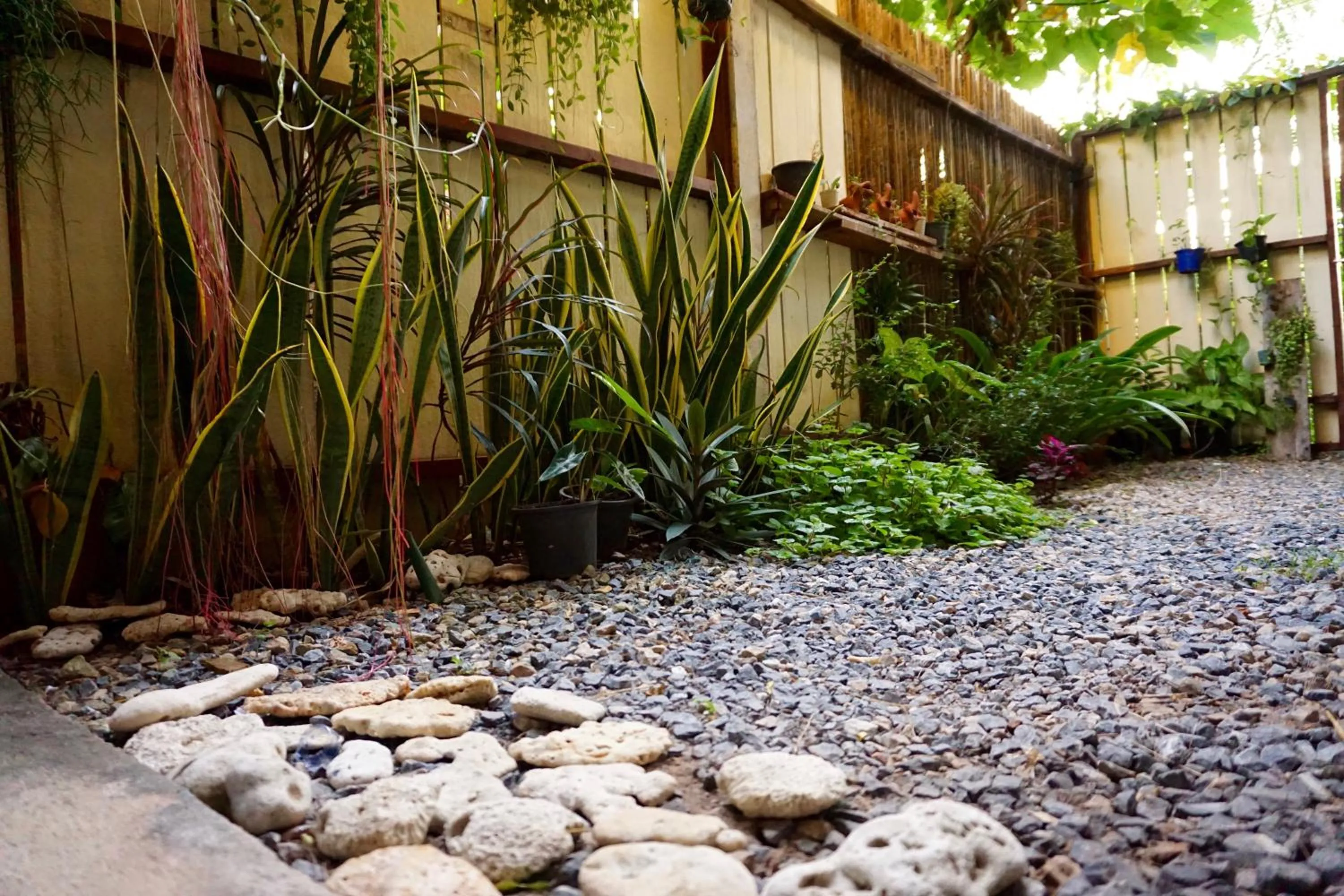 Natural landscape in Lom La Lanta