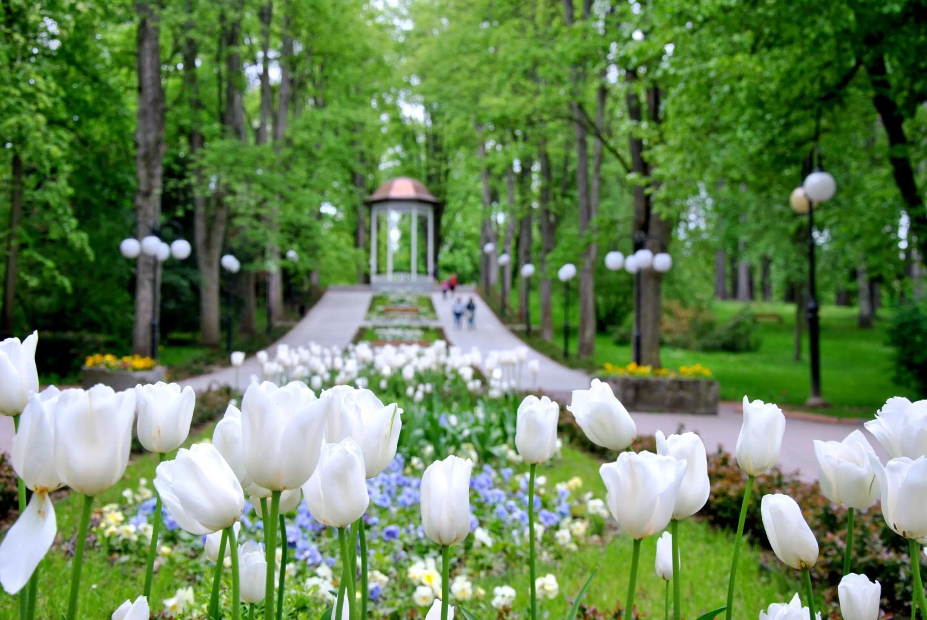 Nearby landmark in Wielka Pieniawa