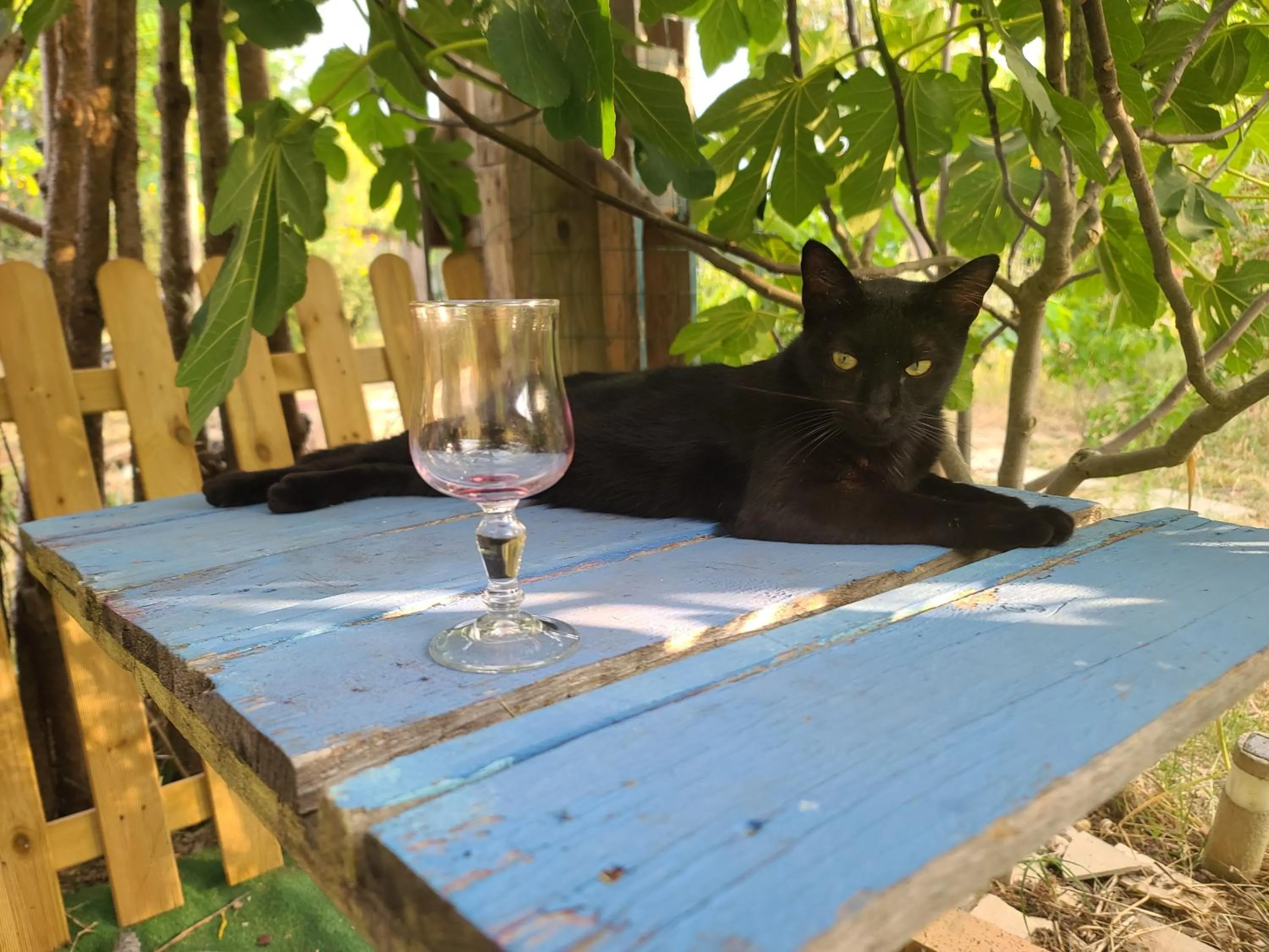 Restaurant/places to eat in Bel Hotel Restaurant la Gentilhommière