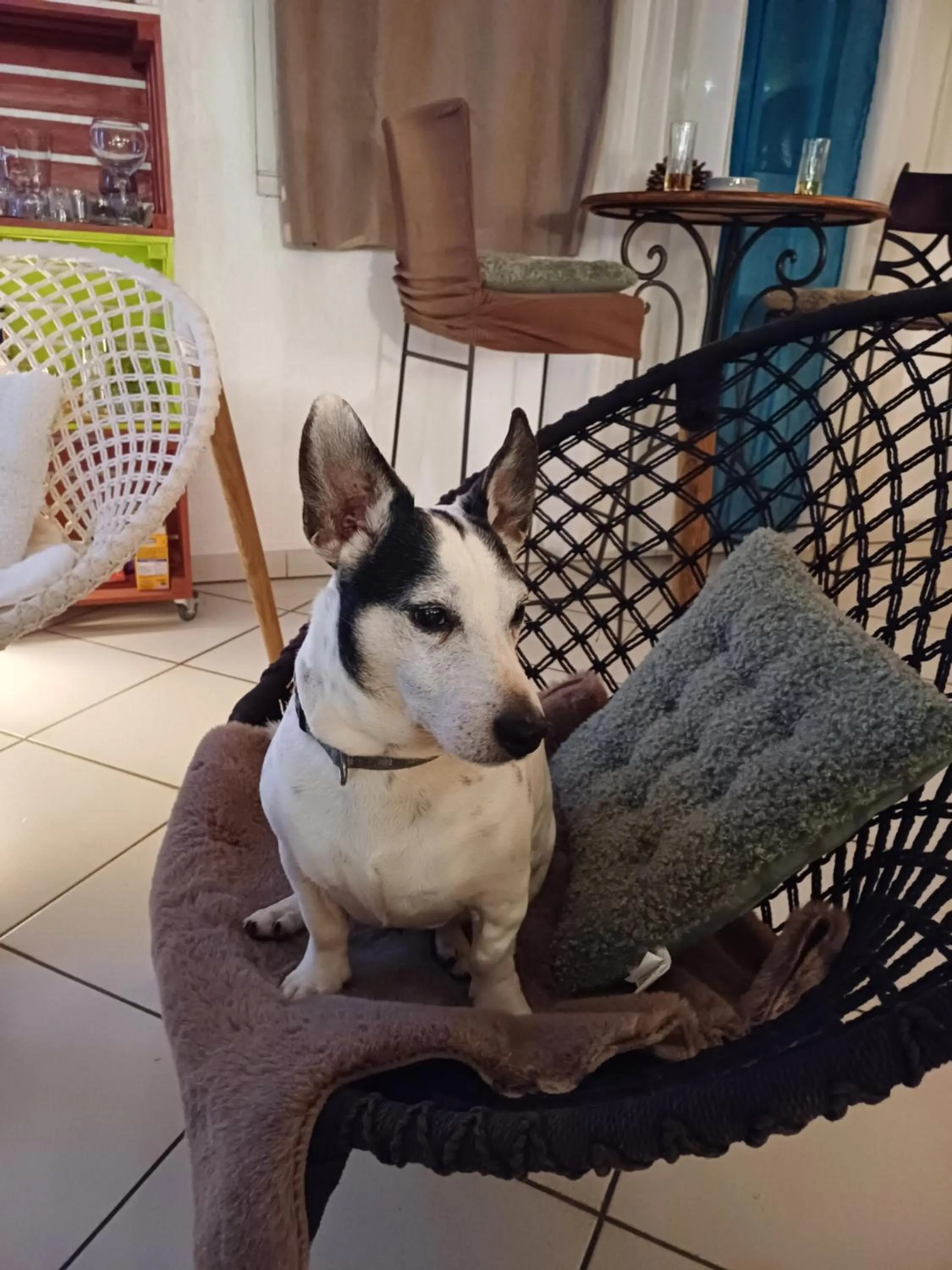 Property building in Bel Hotel Restaurant la Gentilhommière