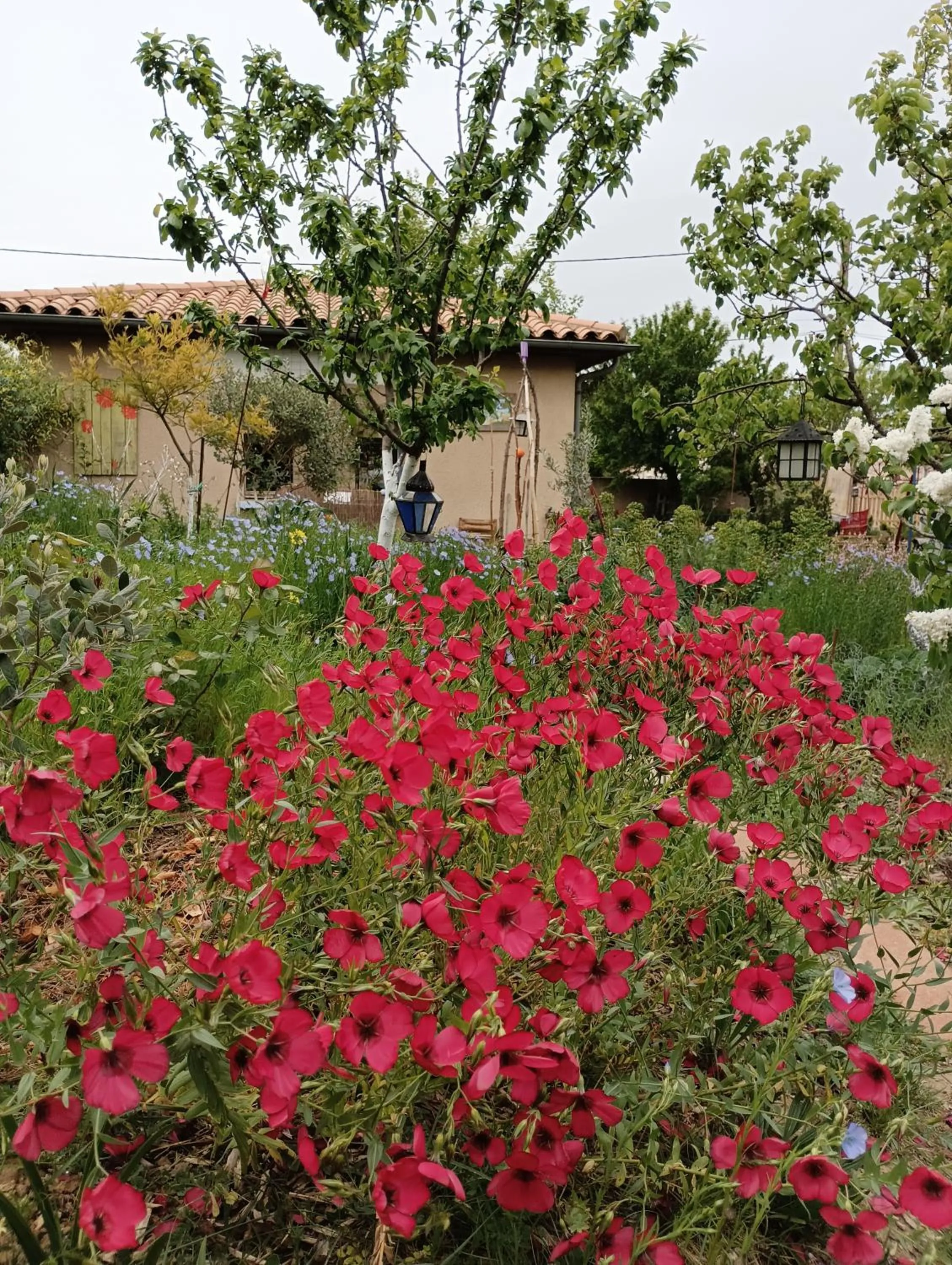 Spring in Bel Hotel Restaurant la Gentilhommière