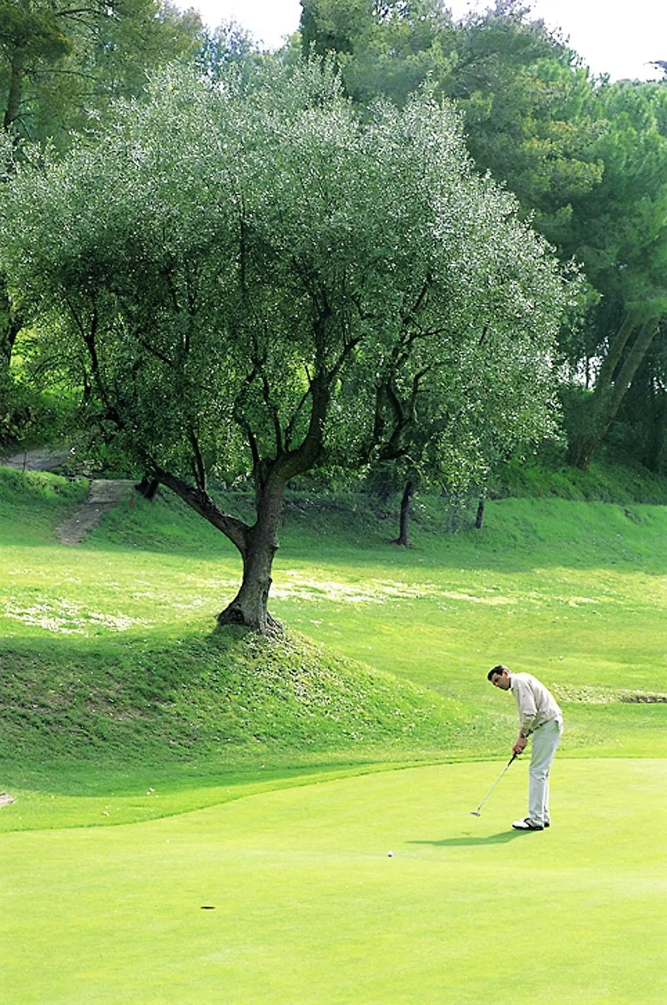 Spring in Hotel Paradiso