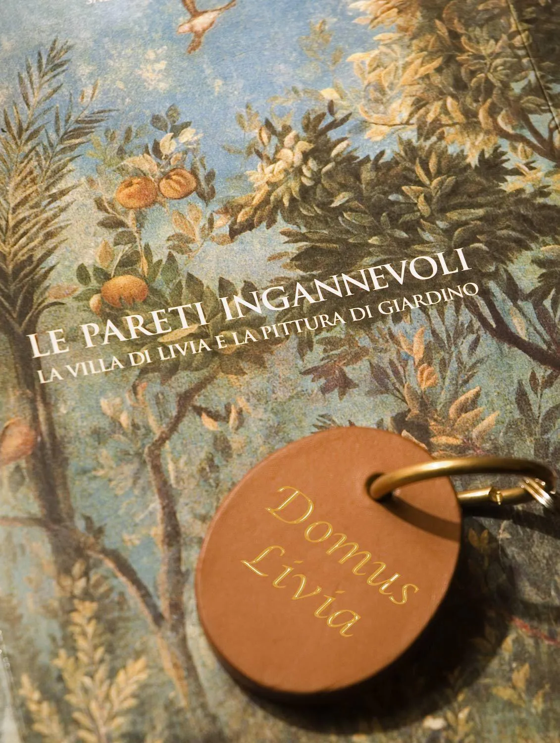 Property logo or sign in Domus Livia