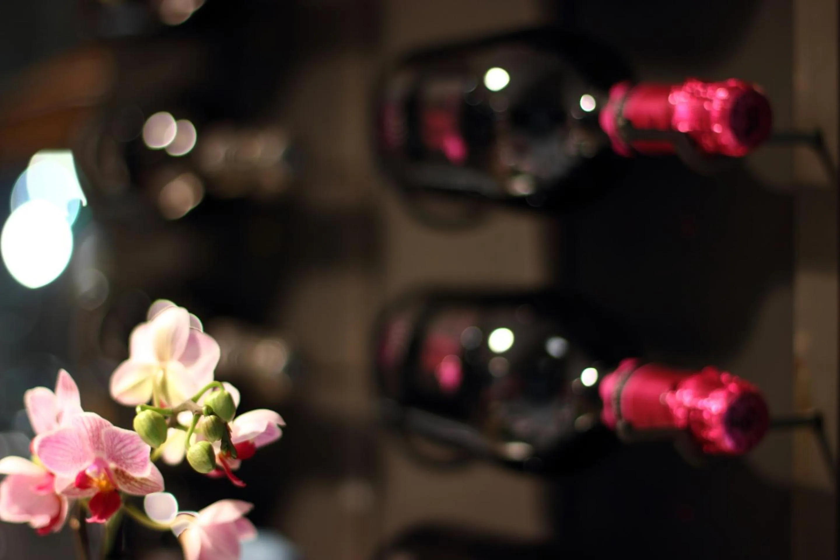 Restaurant/places to eat in Stelle Hotel The Businest