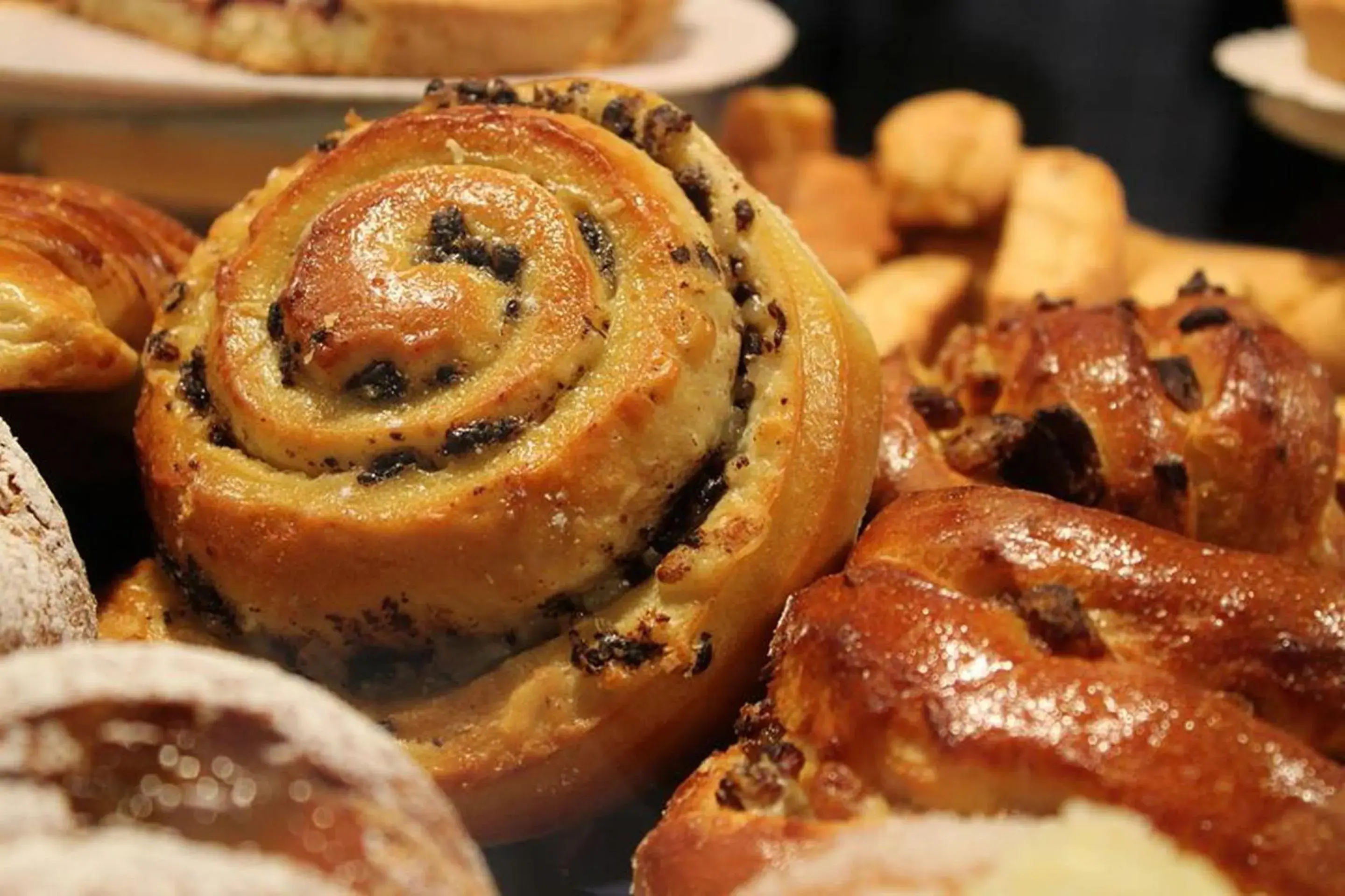 Food close-up in Stelle Hotel The Businest Food close-up in Stelle Hotel The Businest