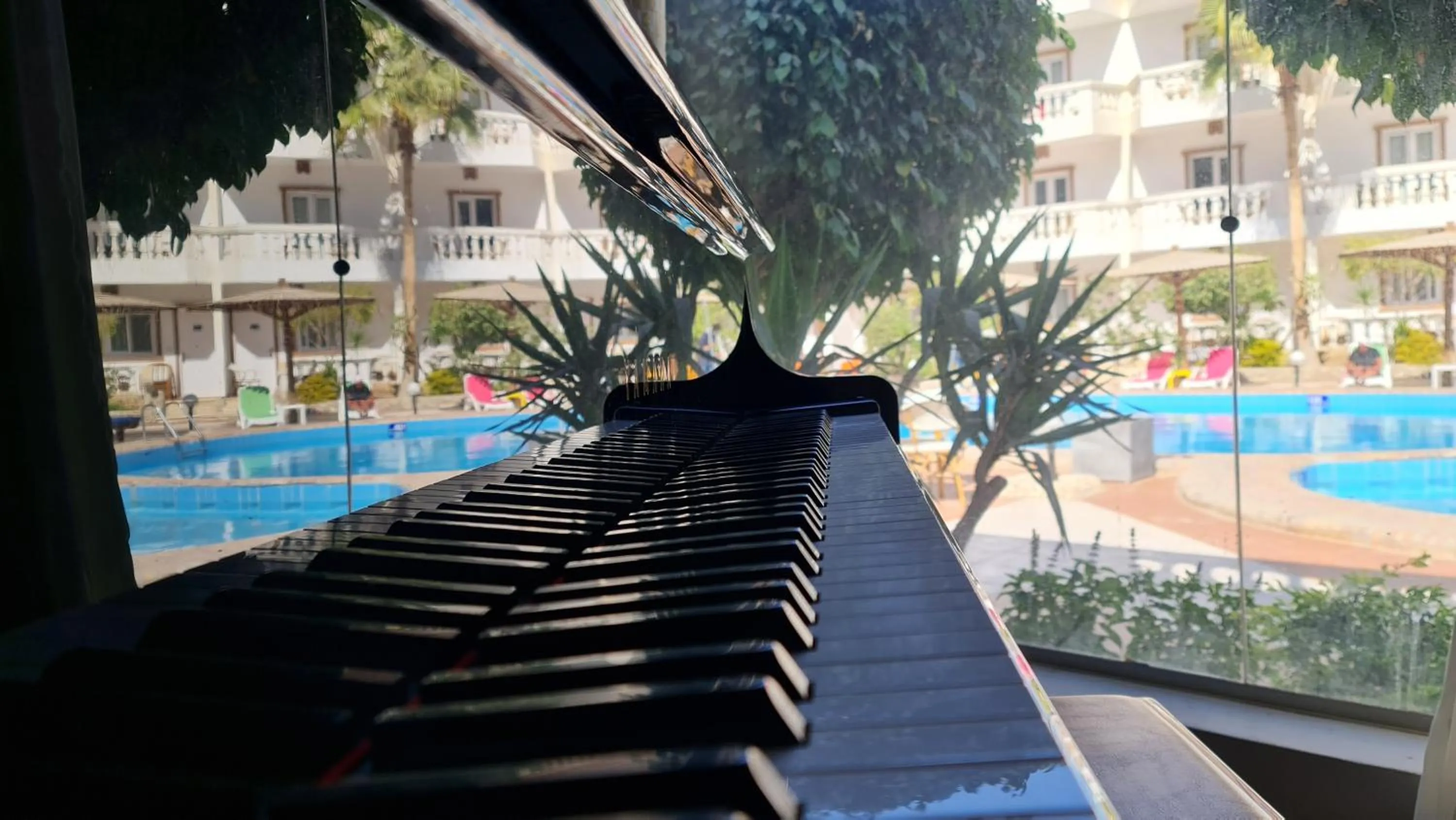 Swimming pool in Zak Inn