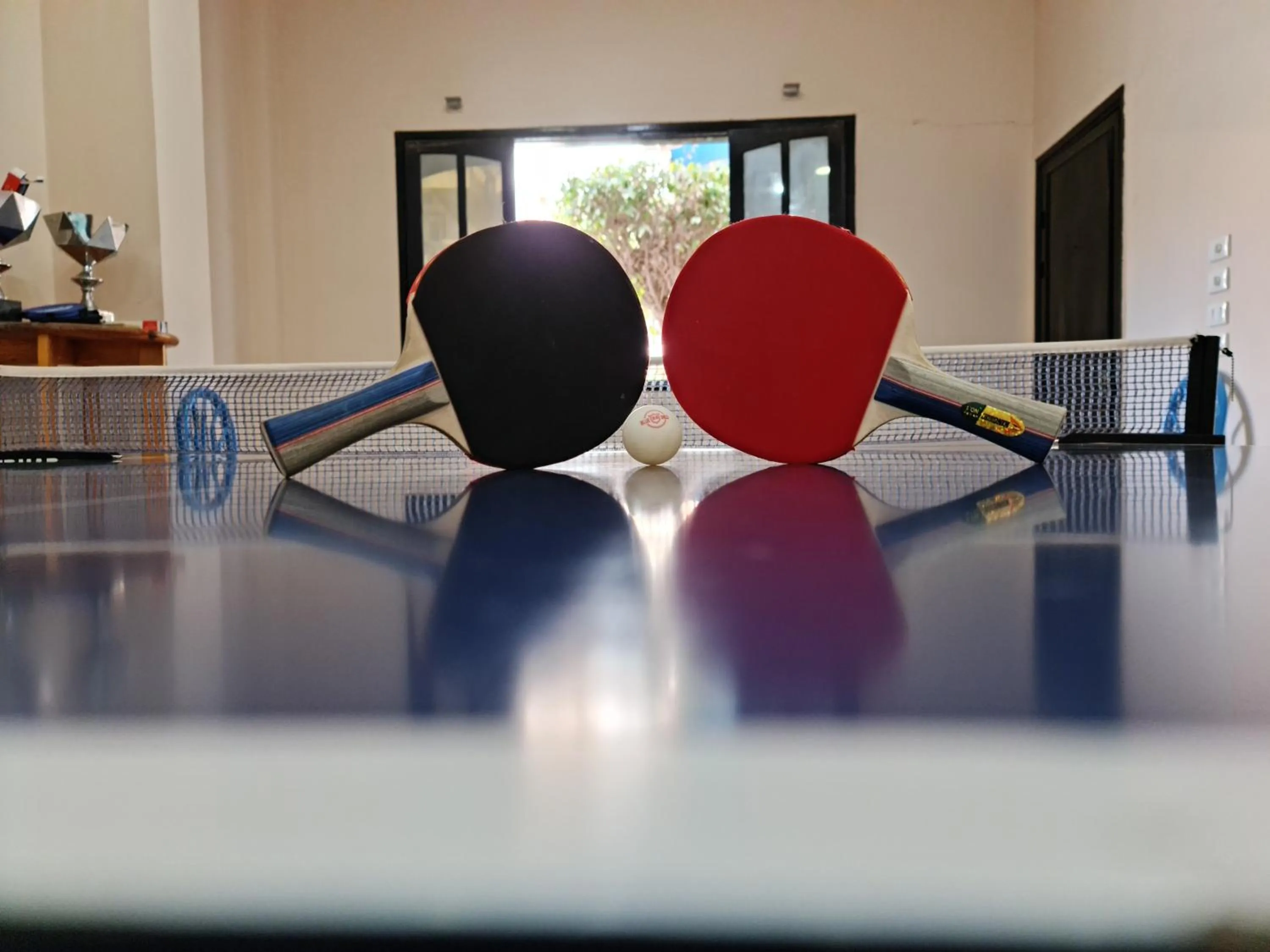 Table tennis in Zak Inn