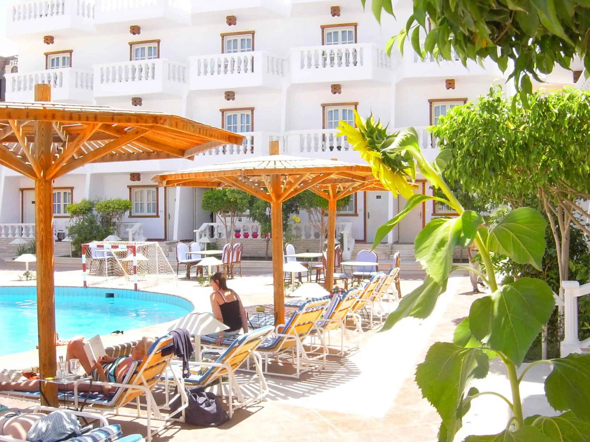 Swimming pool in Zak Inn