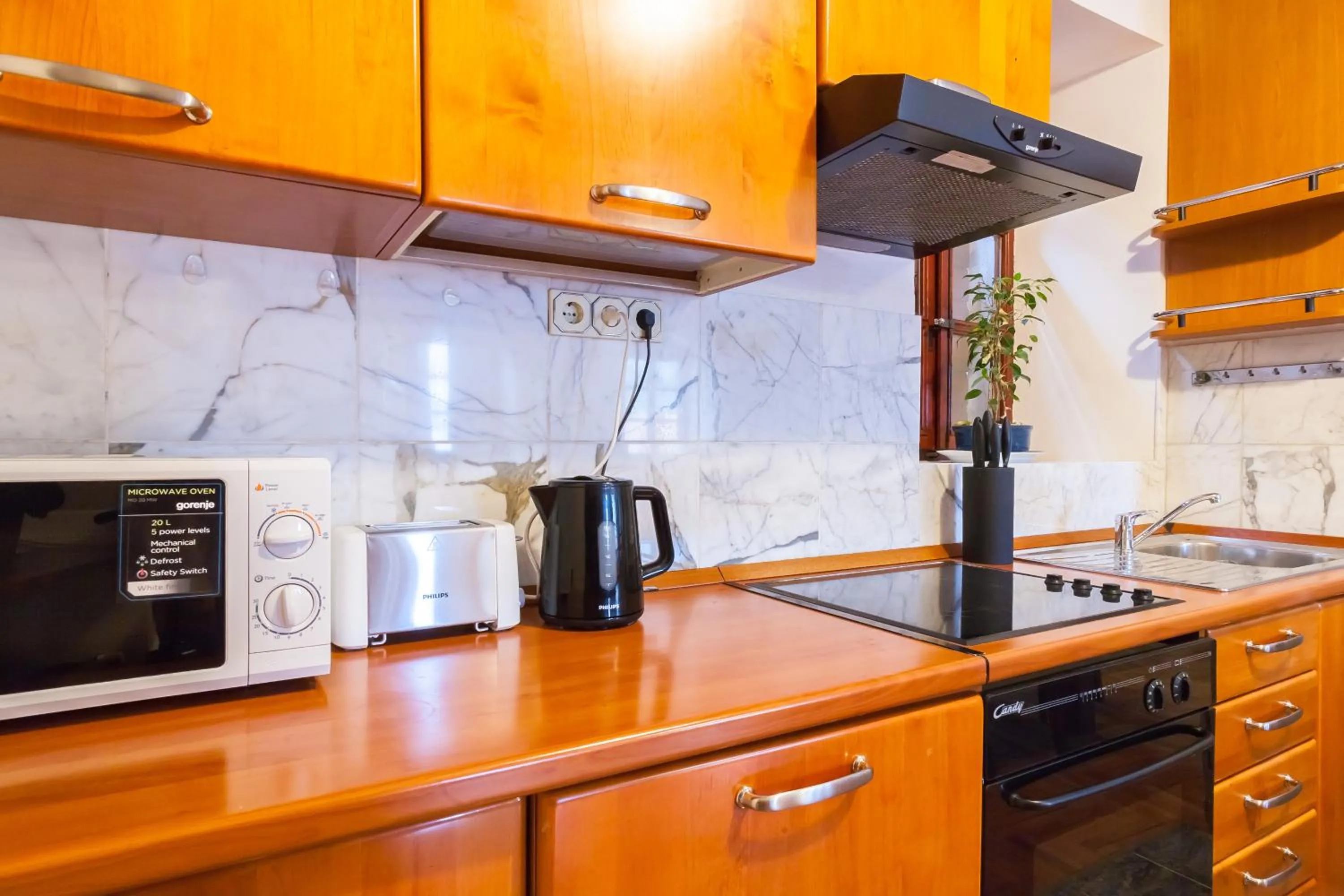 Kitchen or kitchenette in Villa & Apartments Perasto