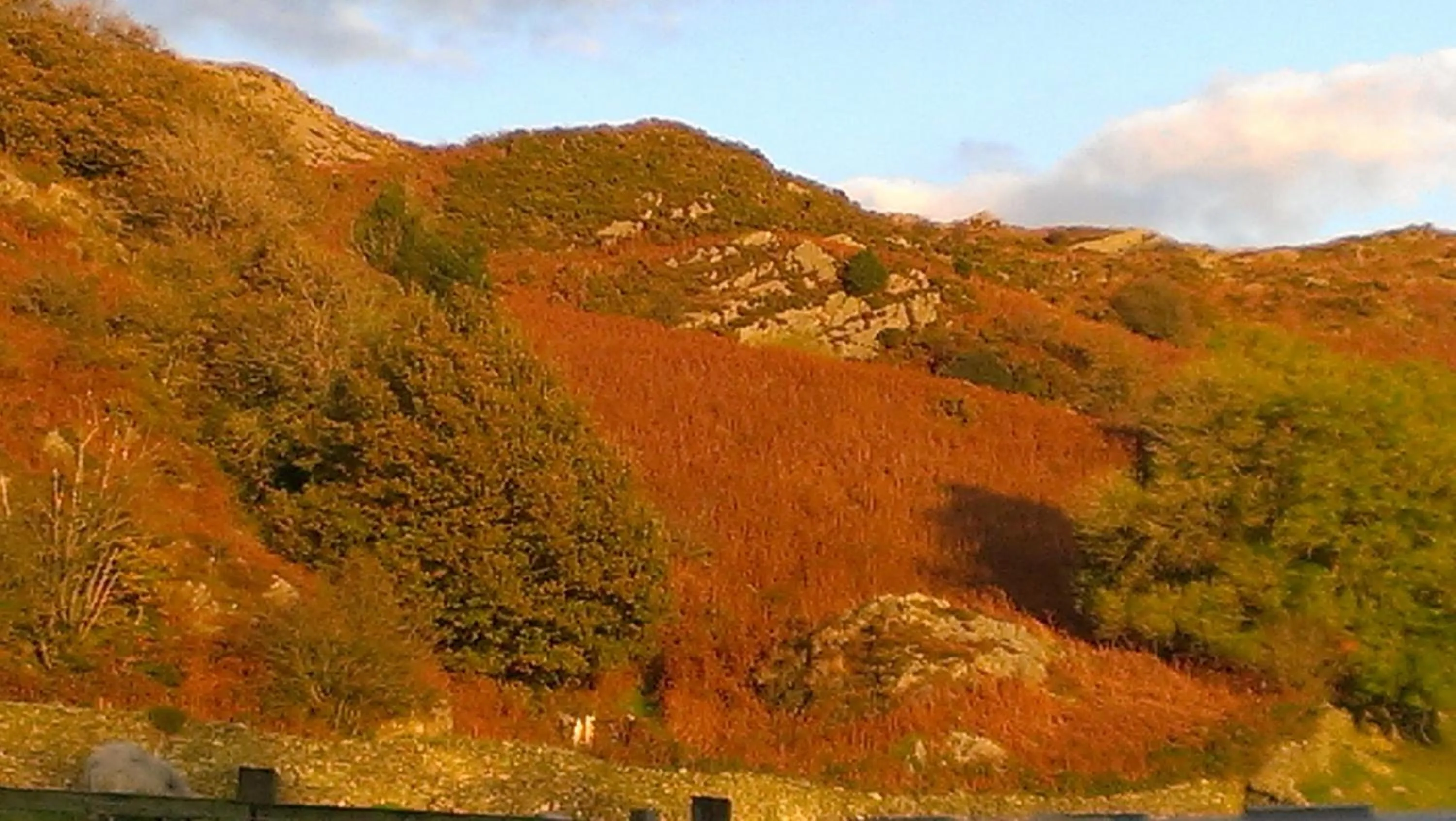 Winter in Ellenboro House