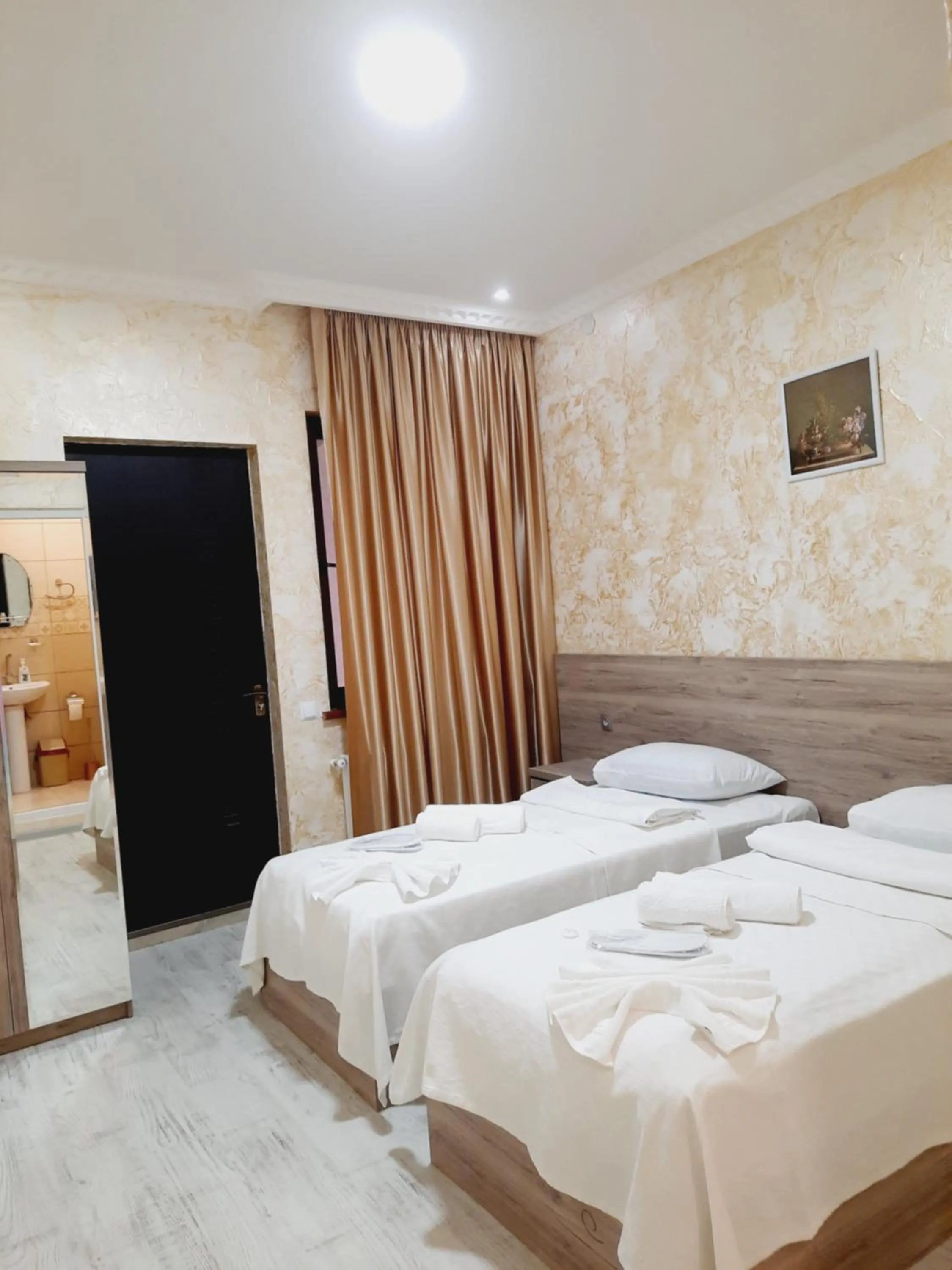 Twin Room with Bathroom in Inaisi Hotel