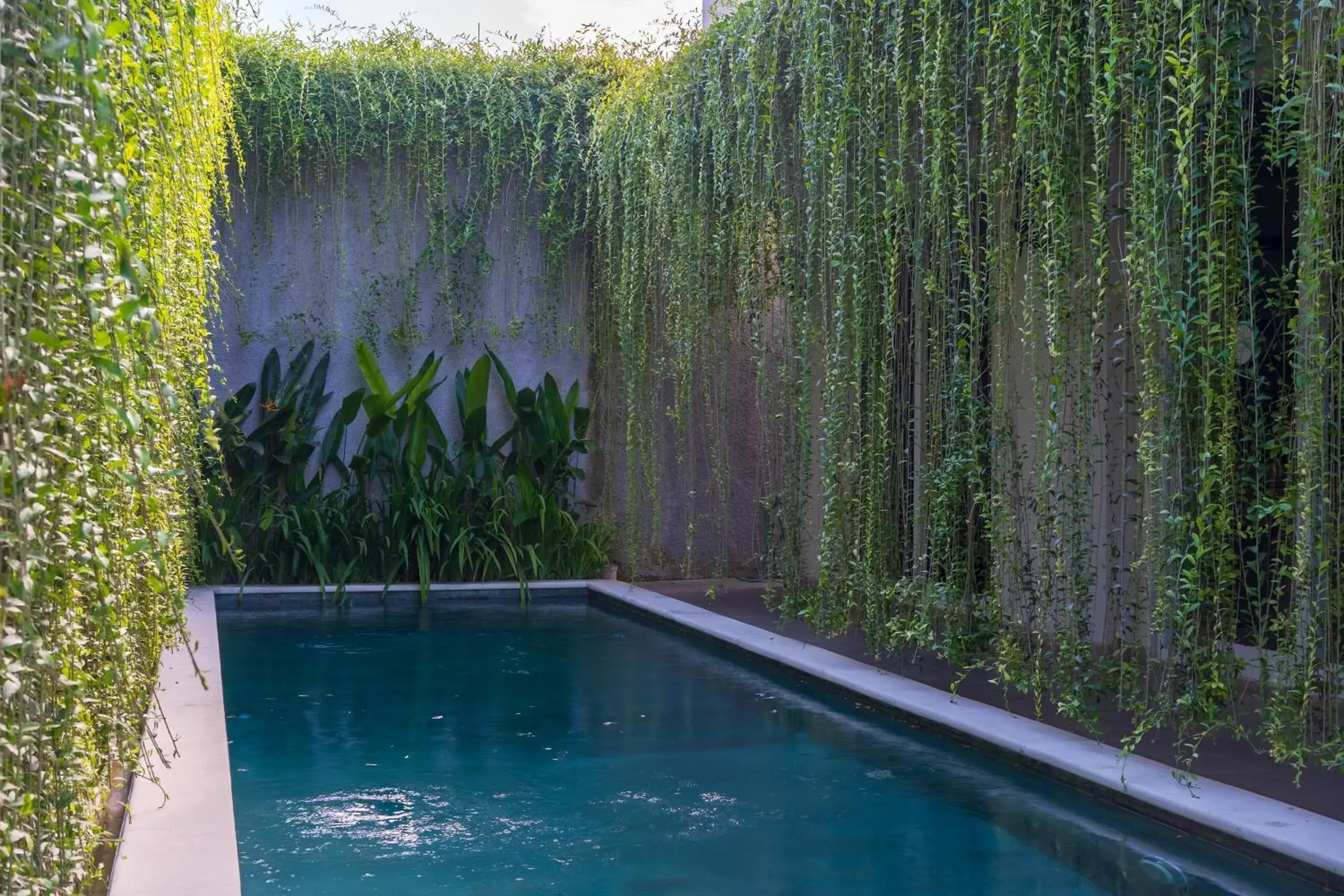 Swimming pool in Malam Hari ApartHotel Swimming pool in Malam Hari ApartHotel