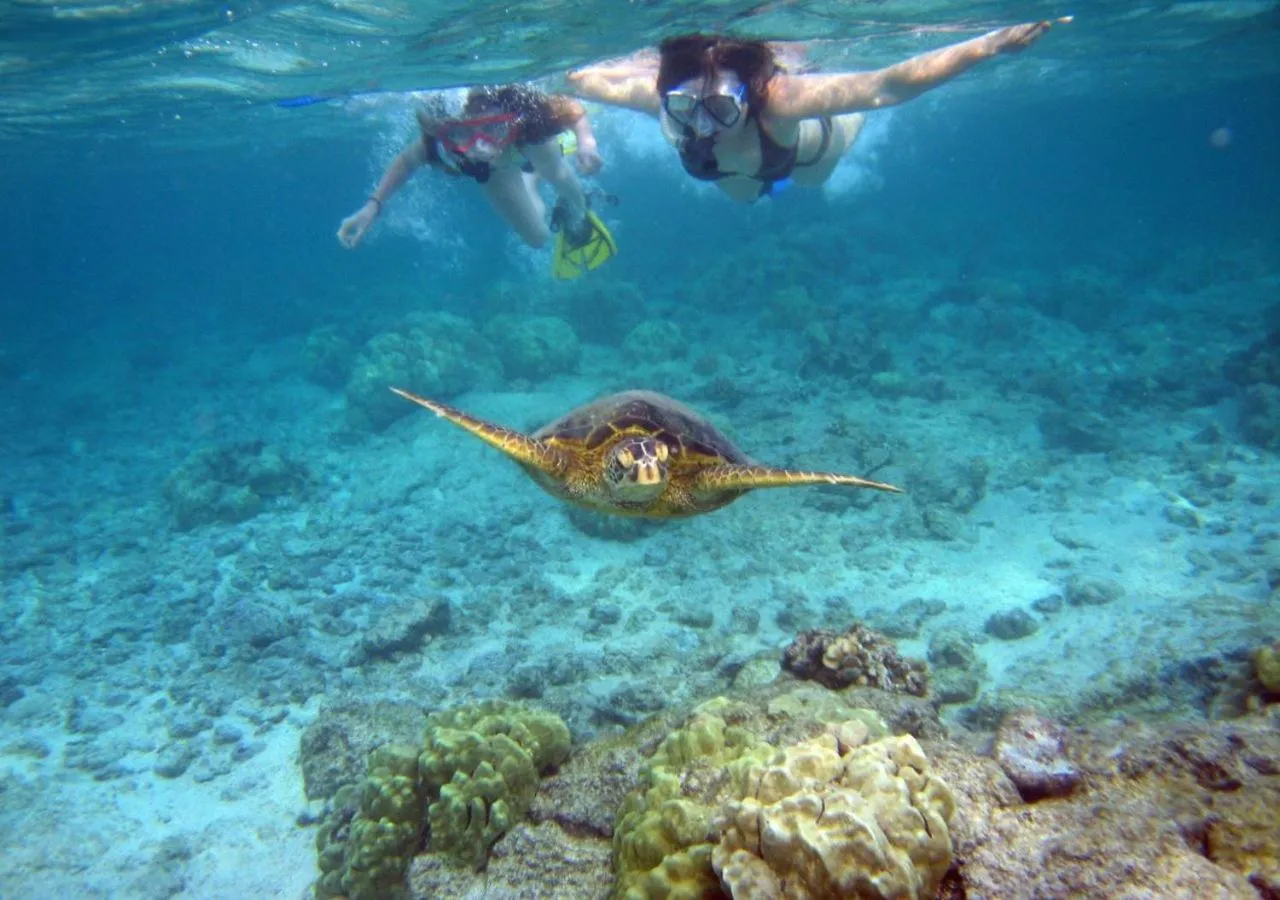 Activities in Lemon Grass Resort & Spa