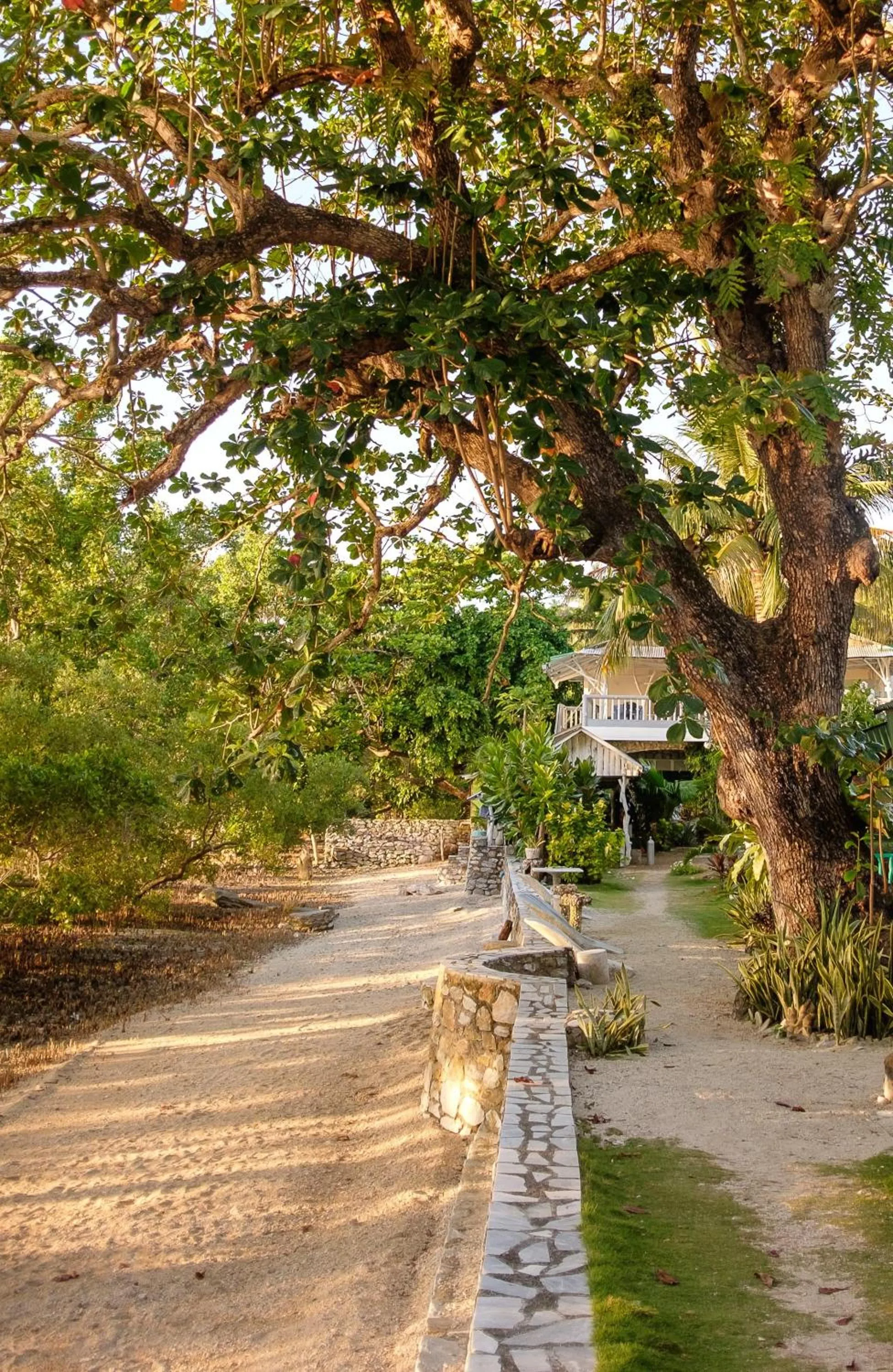 Garden in The Three P Beach Resort & Dive Center