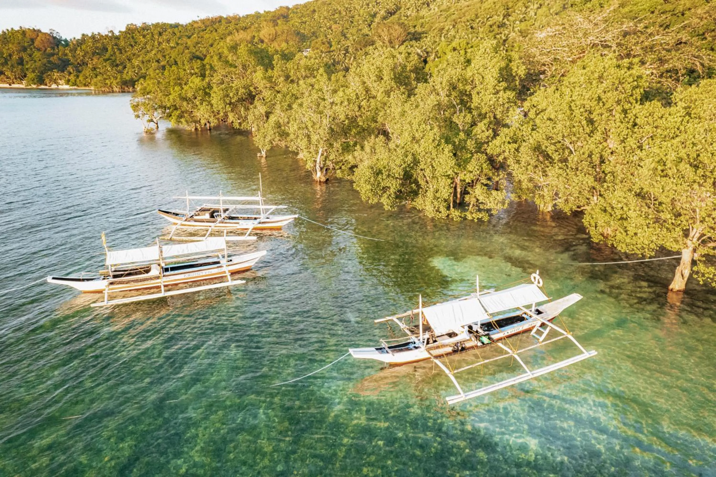 Snorkeling in The Three P Beach Resort & Dive Center