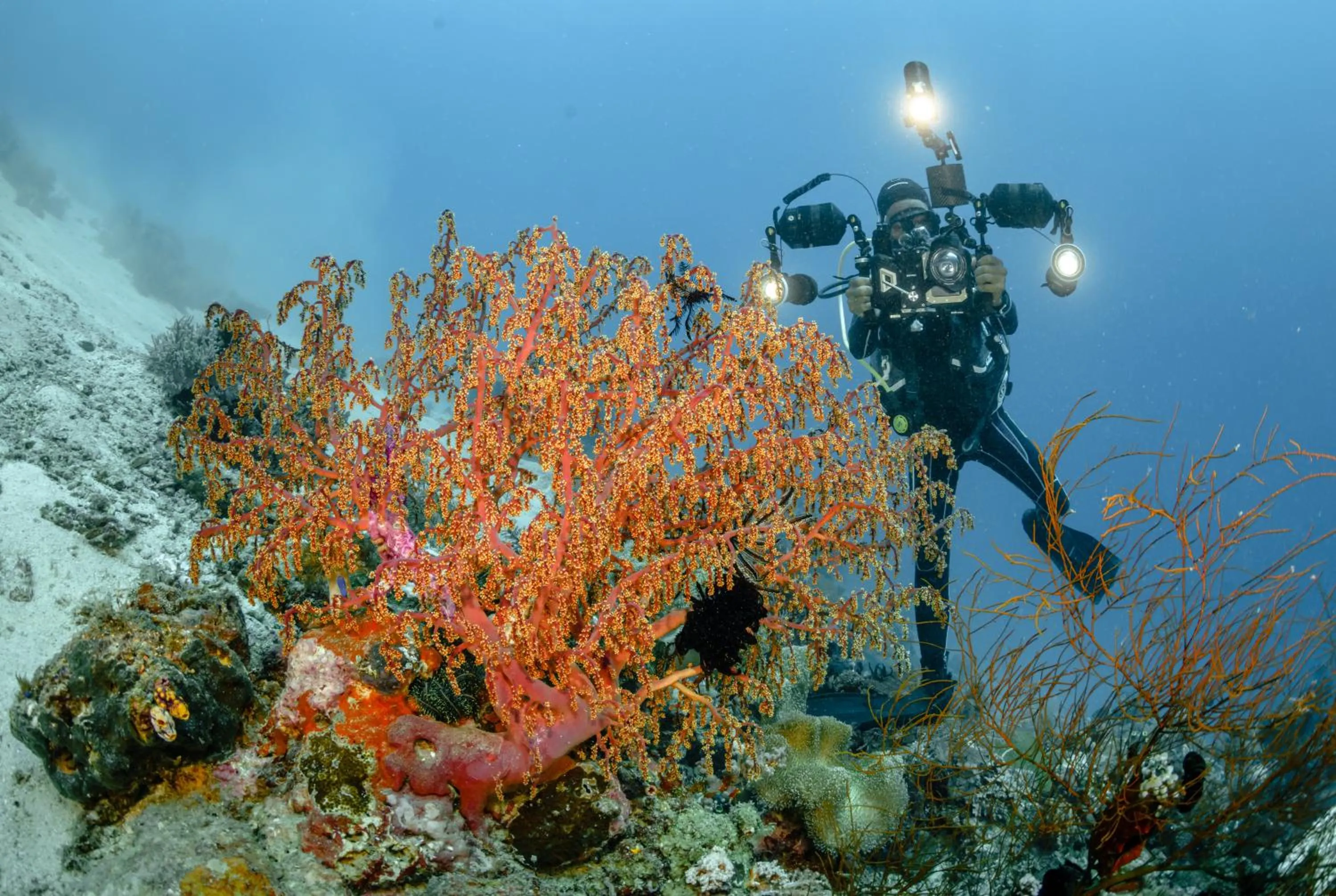 Diving in The Three P Beach Resort & Dive Center