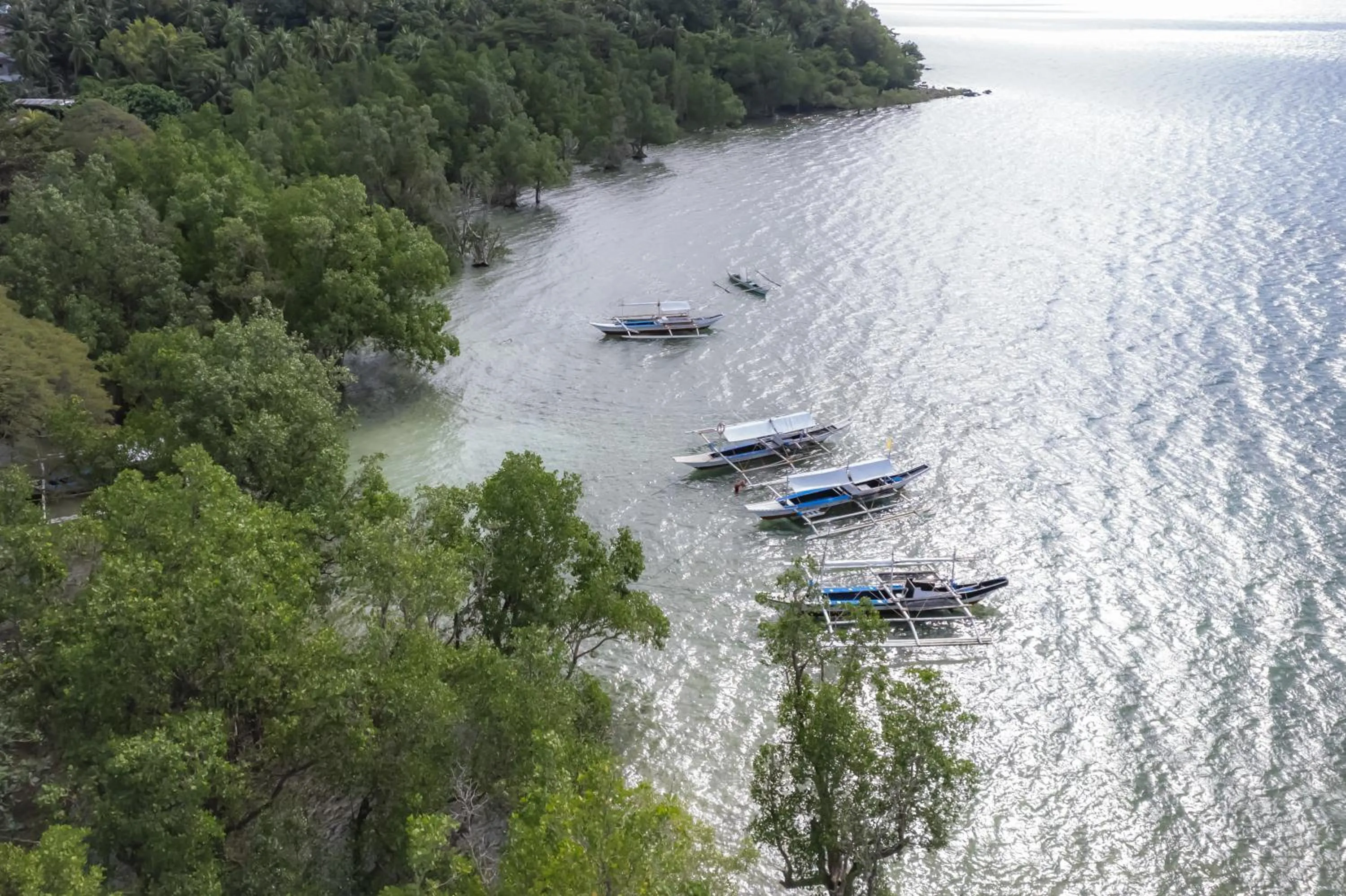 Diving in The Three P Beach Resort & Dive Center