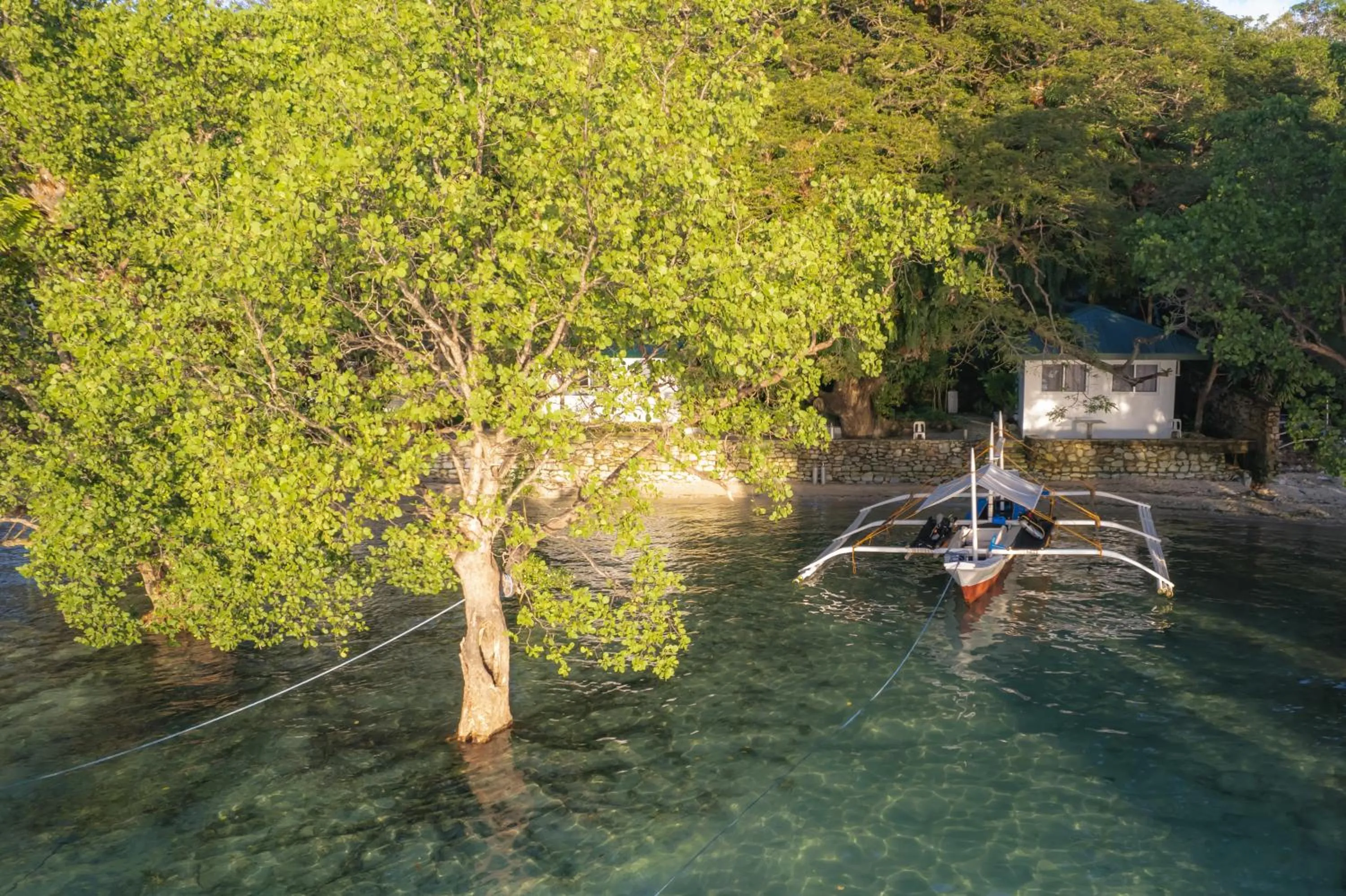 Snorkeling in The Three P Beach Resort & Dive Center