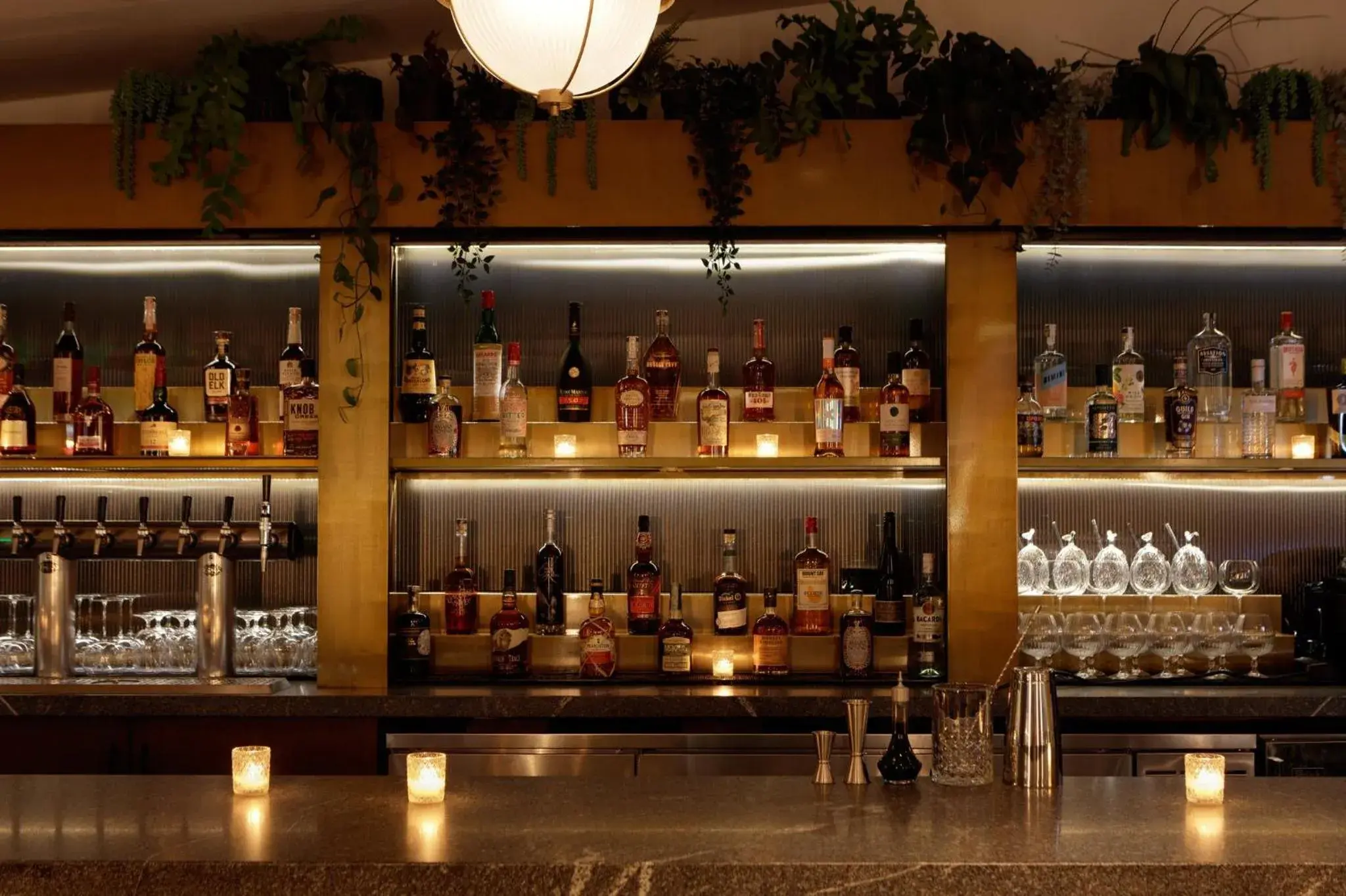 Lounge or bar in Kimpton Shane Atlanta by IHG Lounge or bar in Kimpton Shane Atlanta by IHG