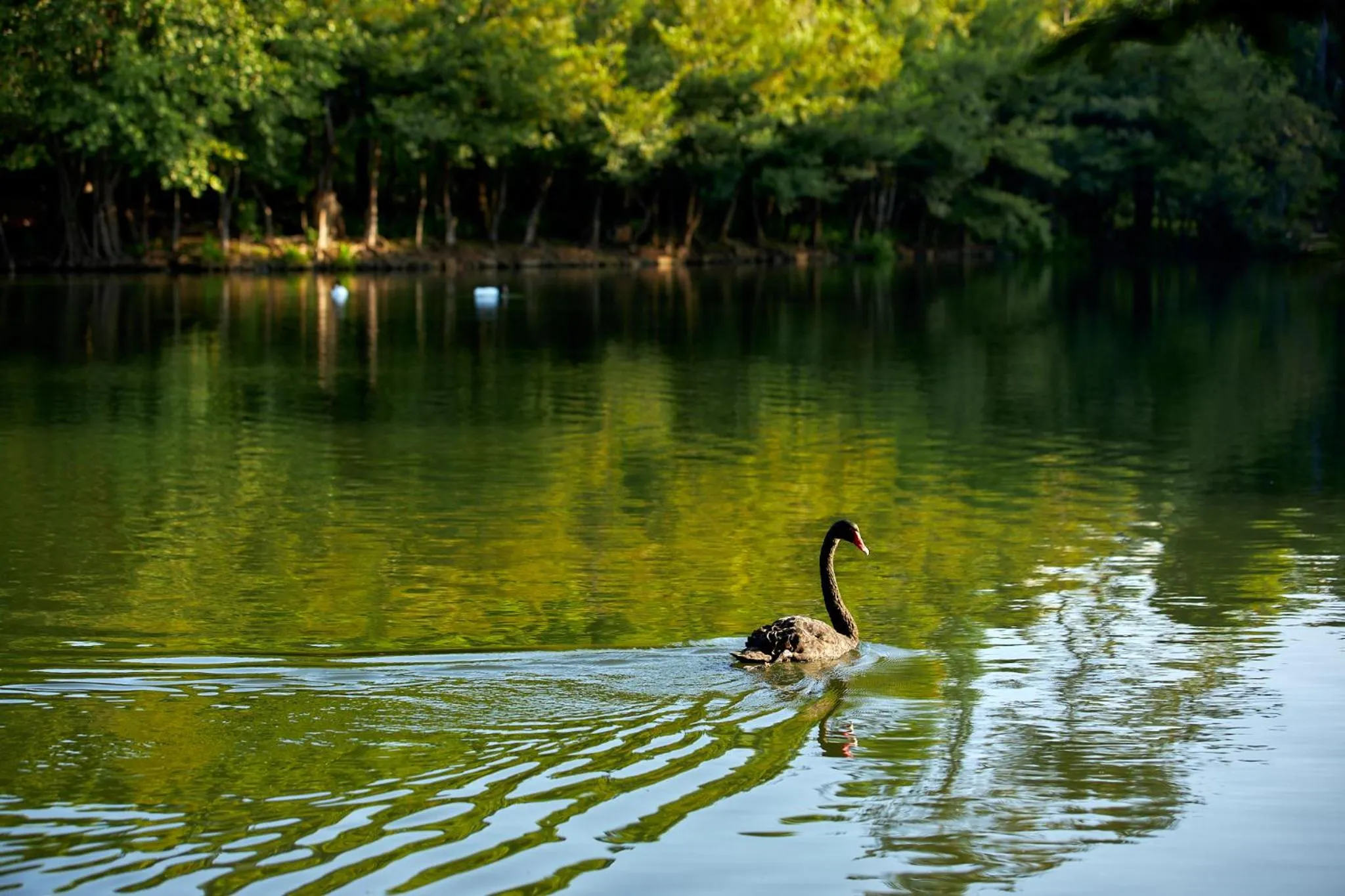 Lake view in InterContinental Khao Yai Resort by IHG