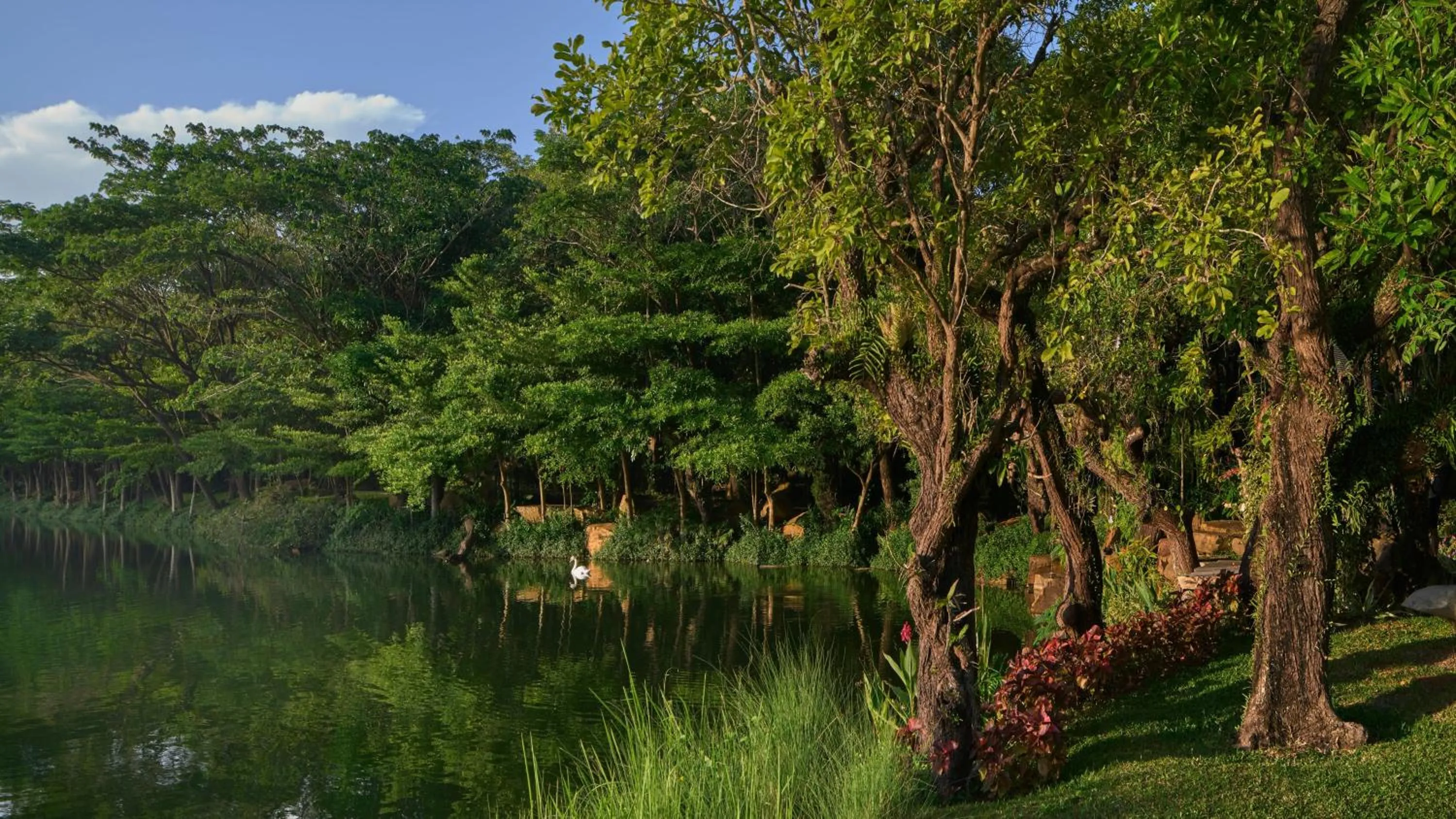 Natural landscape in InterContinental Khao Yai Resort by IHG