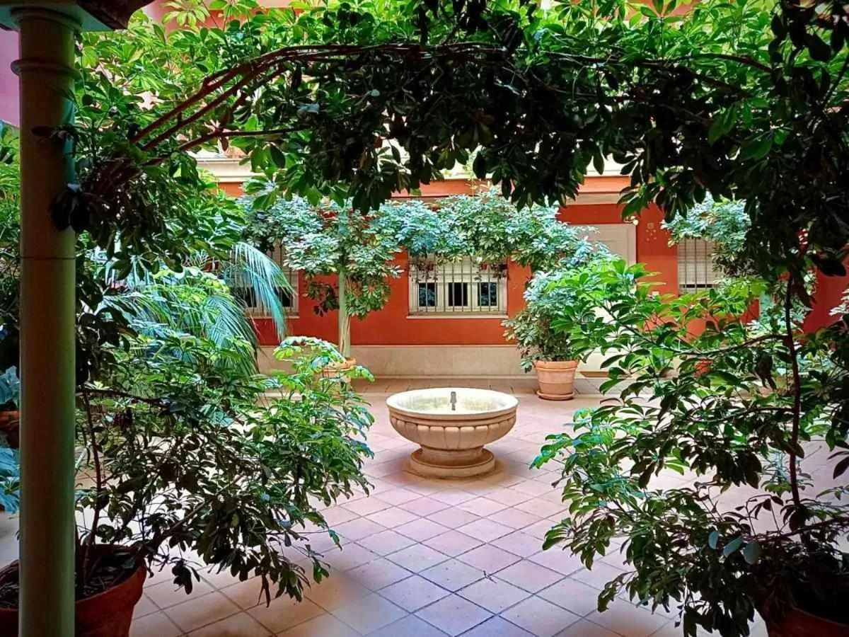 Patio in Apartamento sauceda 7
